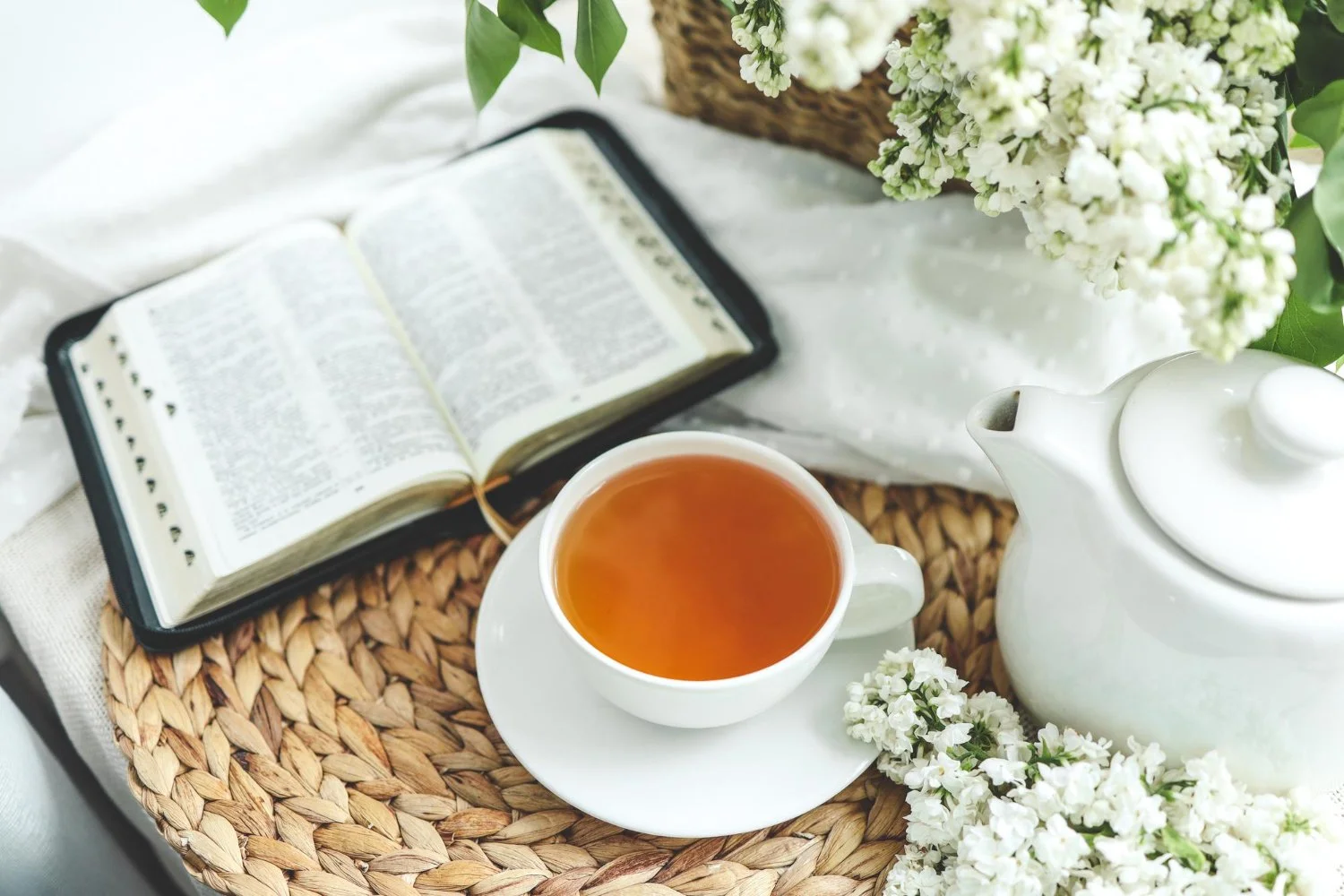 Wellness Begins One Day at a Time