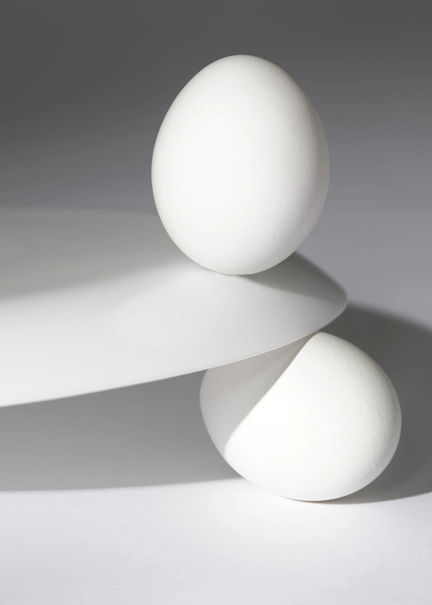 2022_08_23_Gibson_eggCapture 08.jpg