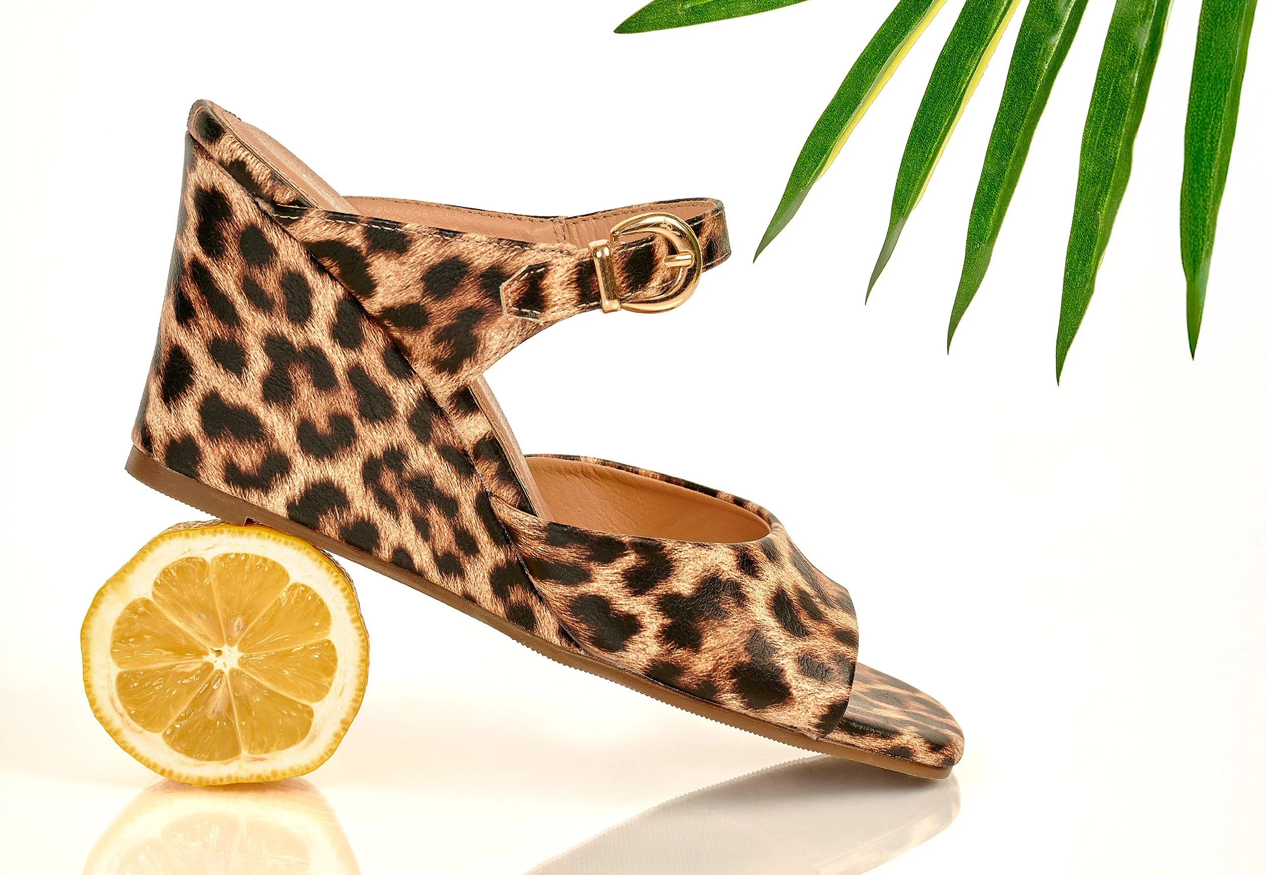 34.5x24_StudioStill18055 copy.JPEG