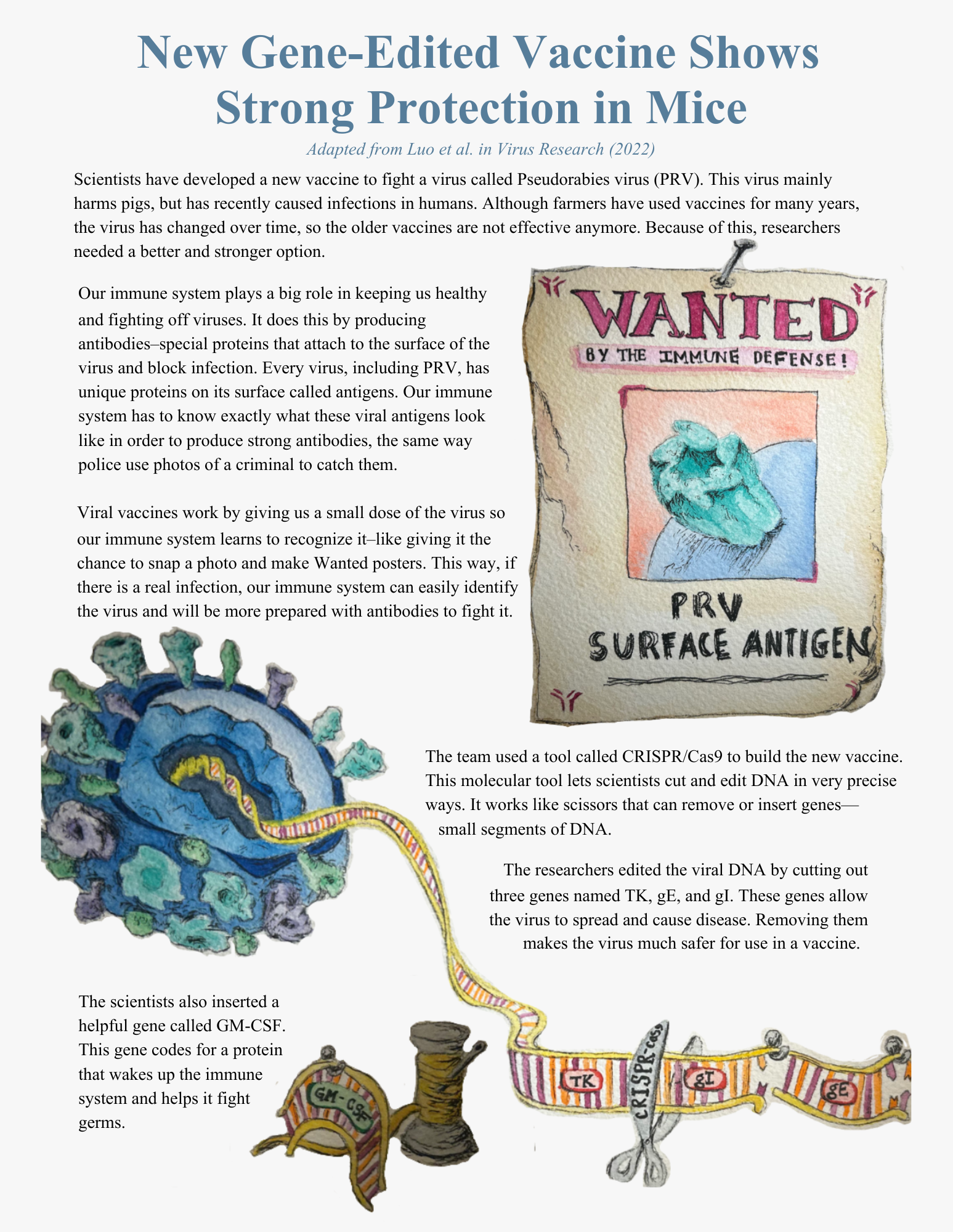 Human Development.pdf-6.png