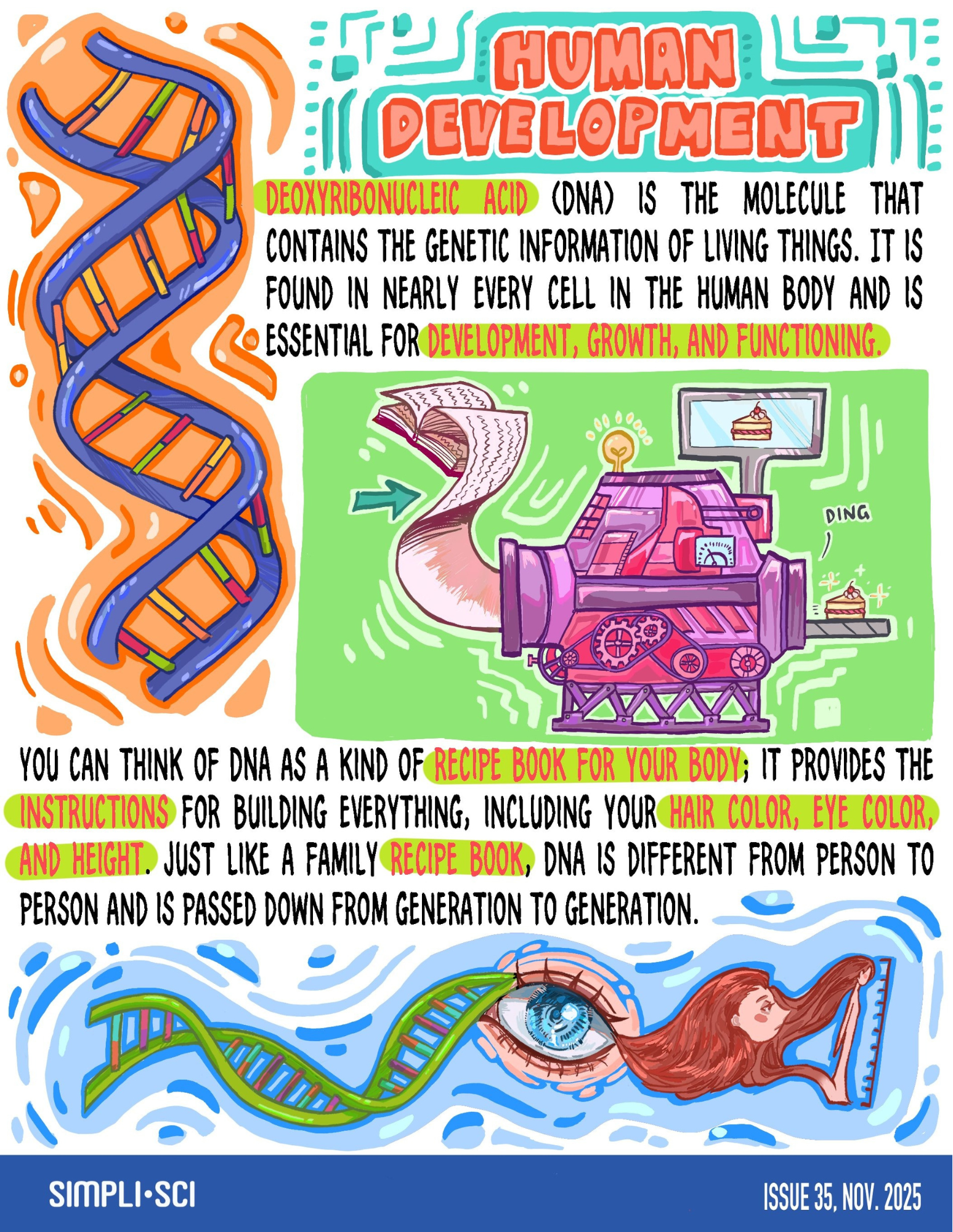 Human Development.pdf.png