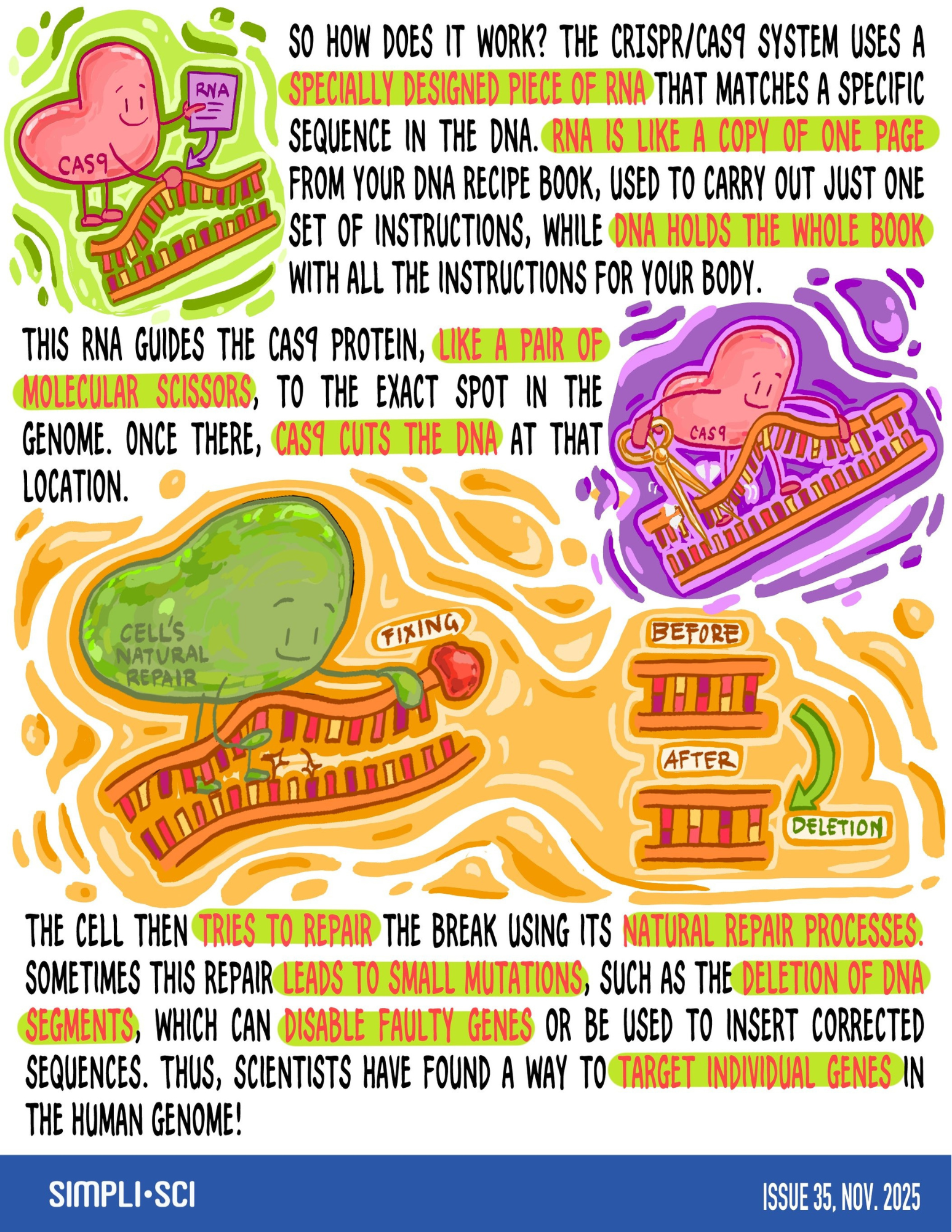 Human Development.pdf-3.png