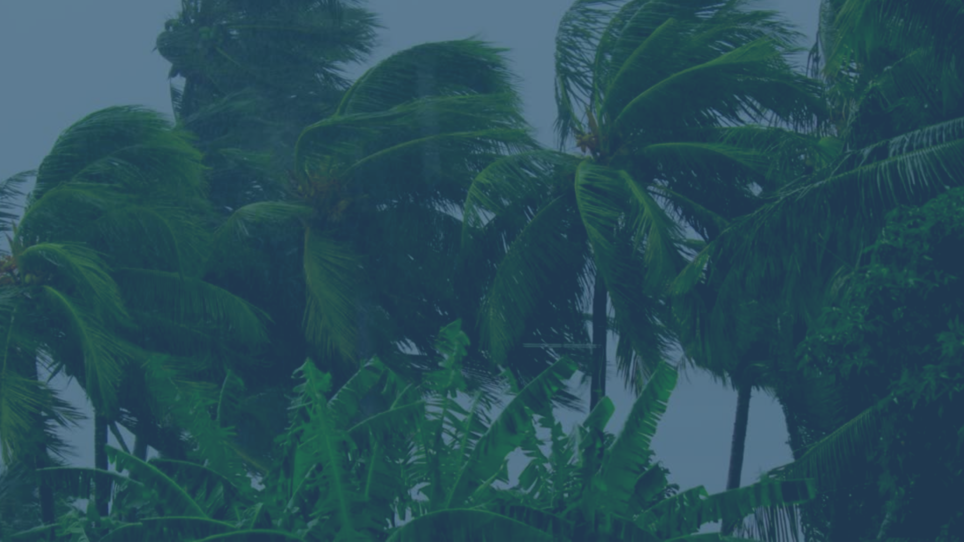 Hurricane Relief.png