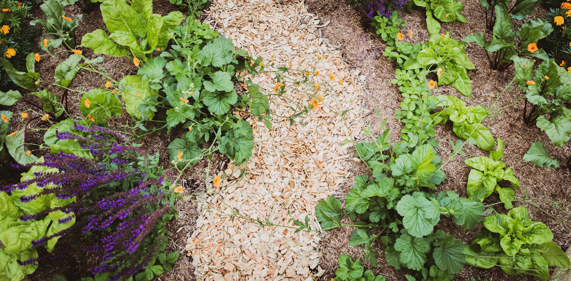 RHS Hampton Court 2021 Allotment design: Try it yourself