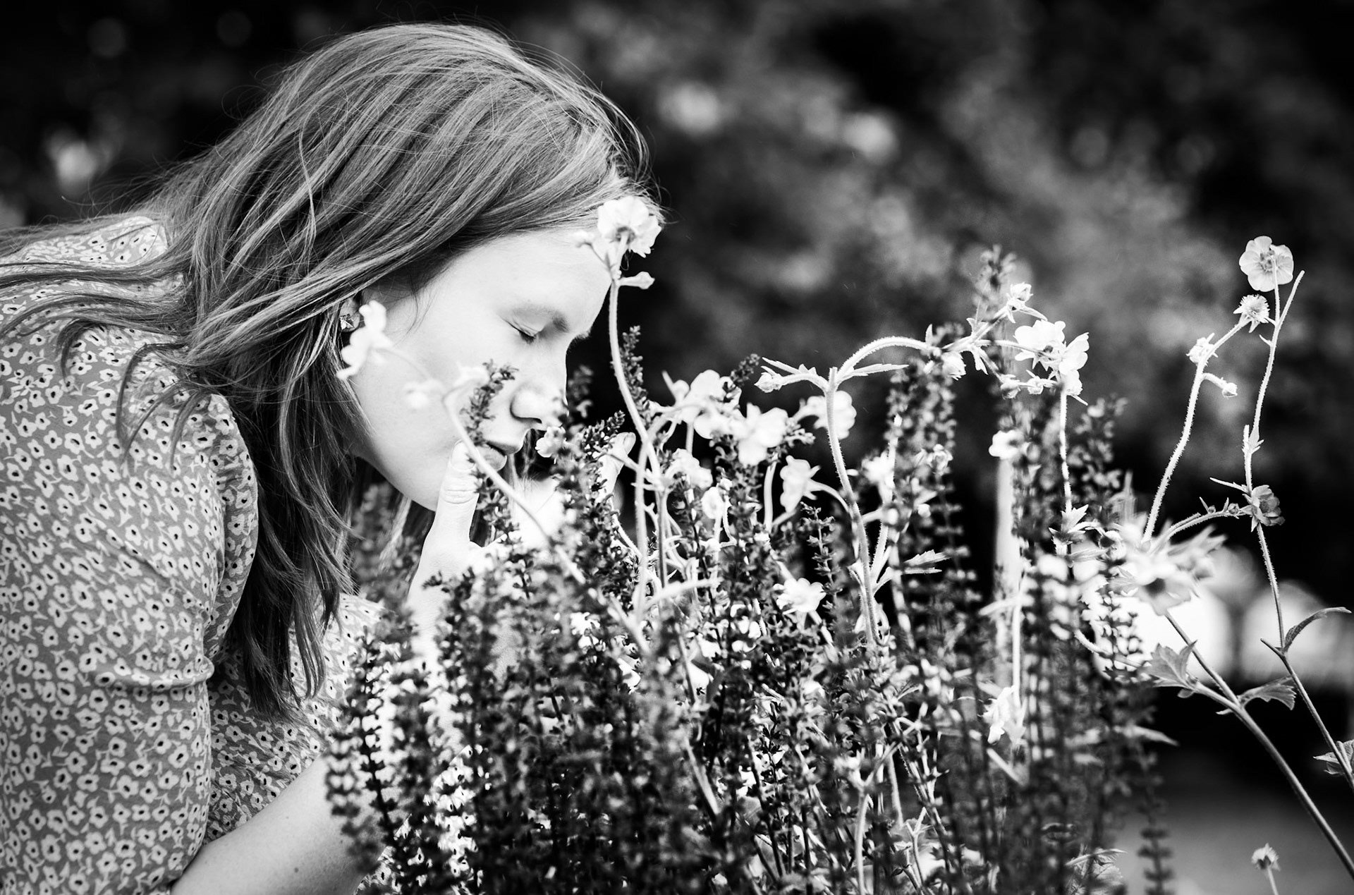 Reflections, one year on