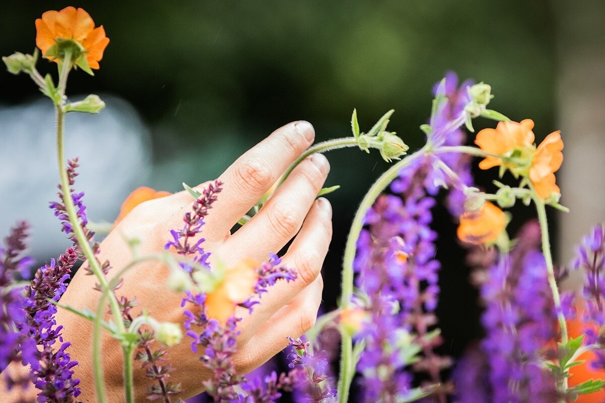 Summer blooms are coming. For beautiful borders, contrast types and colours for a visual treat. Want some help to evolve your planting? Get in touch today. 

📸 @annabellemayphotography  RHS Hampton court 2021 

#gardening #gardens #gardendesign #gar