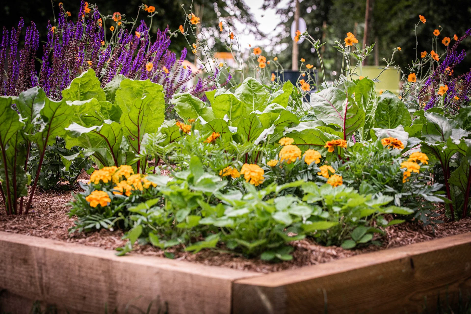 Homes and Gardens: Pretty Edibles Feature