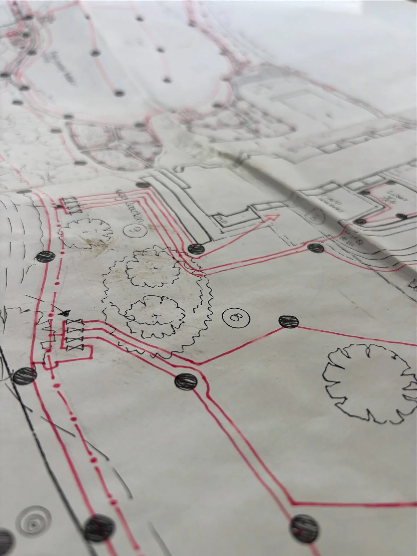 Excited to dive into the old plans for this glorious multi acre garden in Hertfordshire. Designed by quite a famous hand over 1/4 of a century ago. The team and I have been commissioned to do some considerable planting designs - to produce the wow en