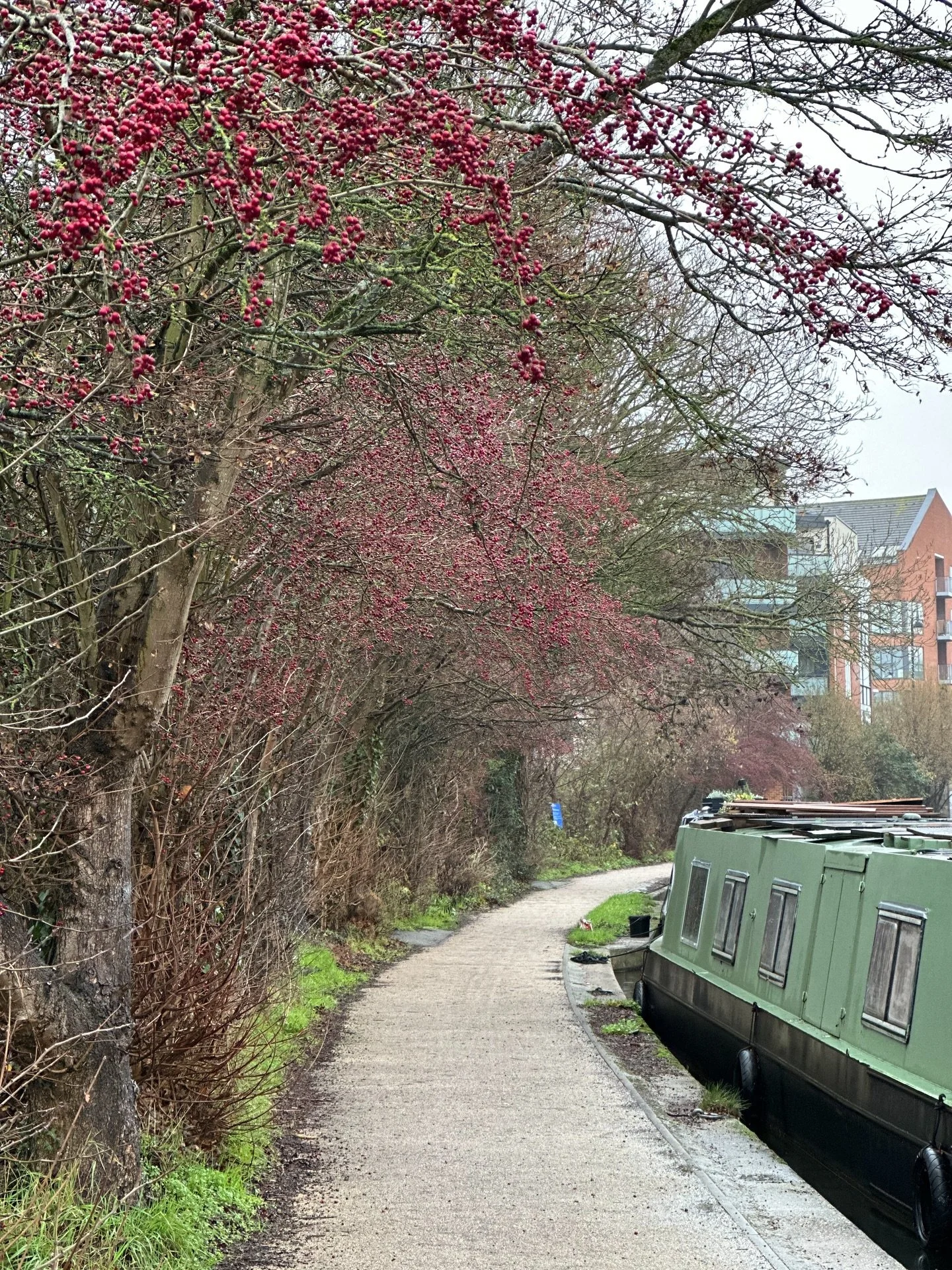 A little, perhaps accidental, detour on the way to a site visit at a new project in West Drayton. 

We&rsquo;re currently completing the all-important site analysis - survey, soil samples, desk research, plant identification and many, many photos. 

