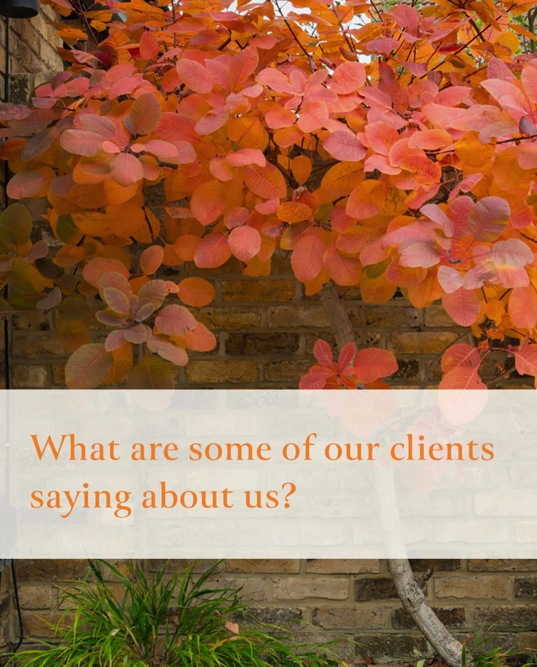 There&rsquo;s nothing that makes us happier than hearing our clients are enjoying their new gardens!

Read on above for some lovely comments from a couple we worked with. 

We&rsquo;d love to work our magic on your garden too - for more information, 