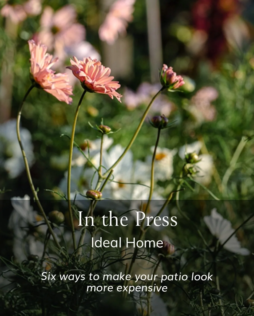 I&rsquo;m always in favour of saving money where possible, so lovely to be featured in a piece in @idealhomeuk about hacks to make your patio look more expensive. 

Maybe you&rsquo;ve got an existing patio you&rsquo;ve inherited, but don&rsquo;t quit