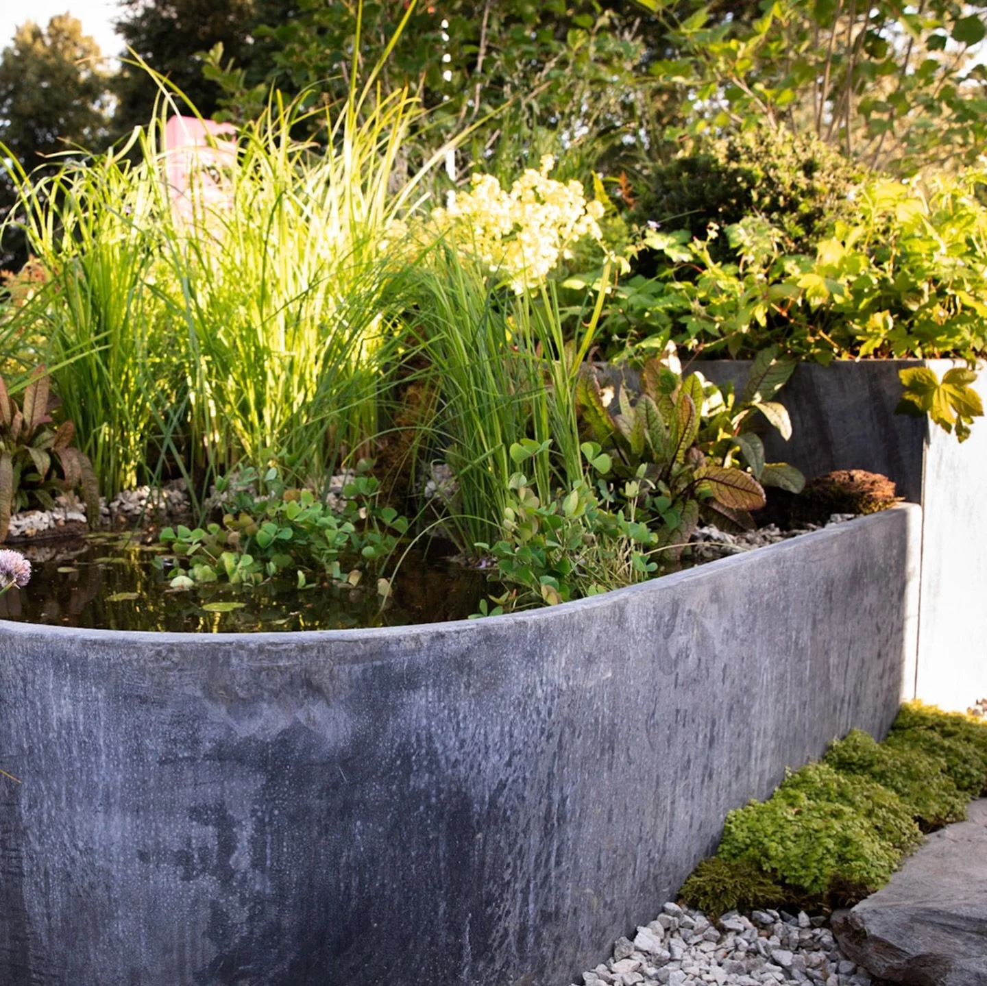 I&rsquo;m keen to get everyone into gardening, no matter the size of space you have - or your property status. My RHS Hampton Court show garden in 2023 was all about creating a garden in a rental space.

If you&rsquo;ve got a balcony, a patio, courty