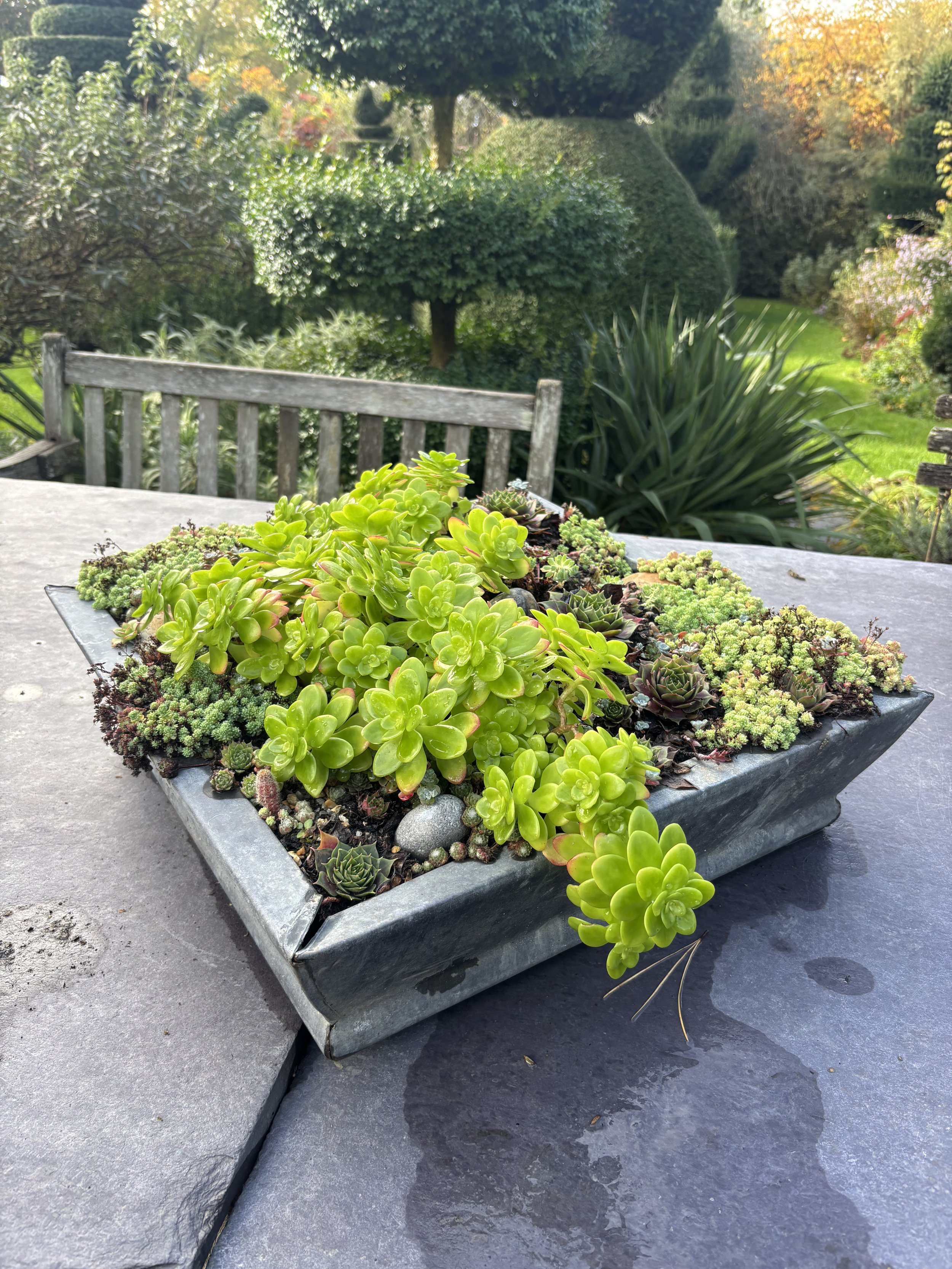 Lessons from Designing Gardens in Twickenham