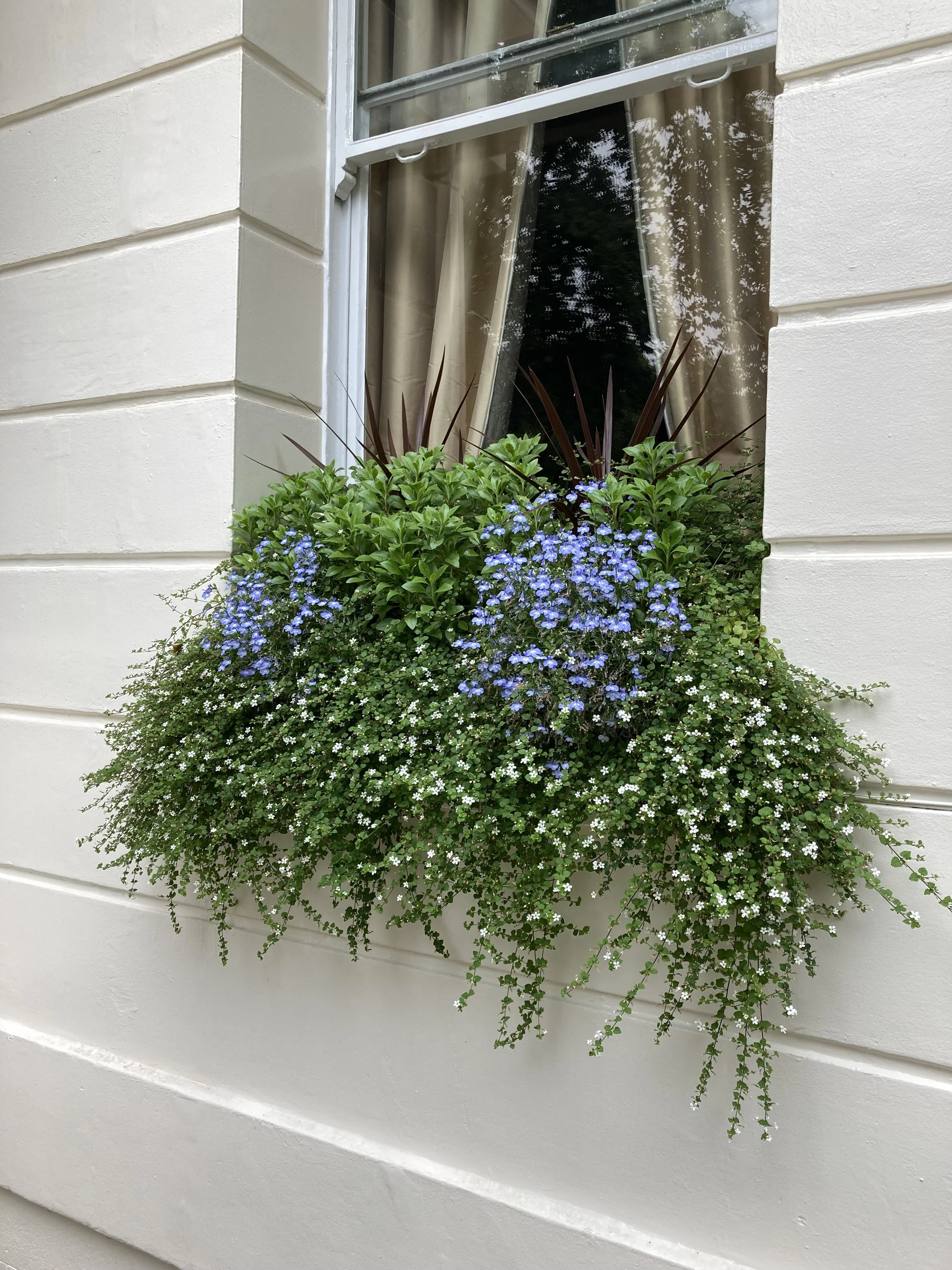 5 Things That Make Gardening in Richmond Different