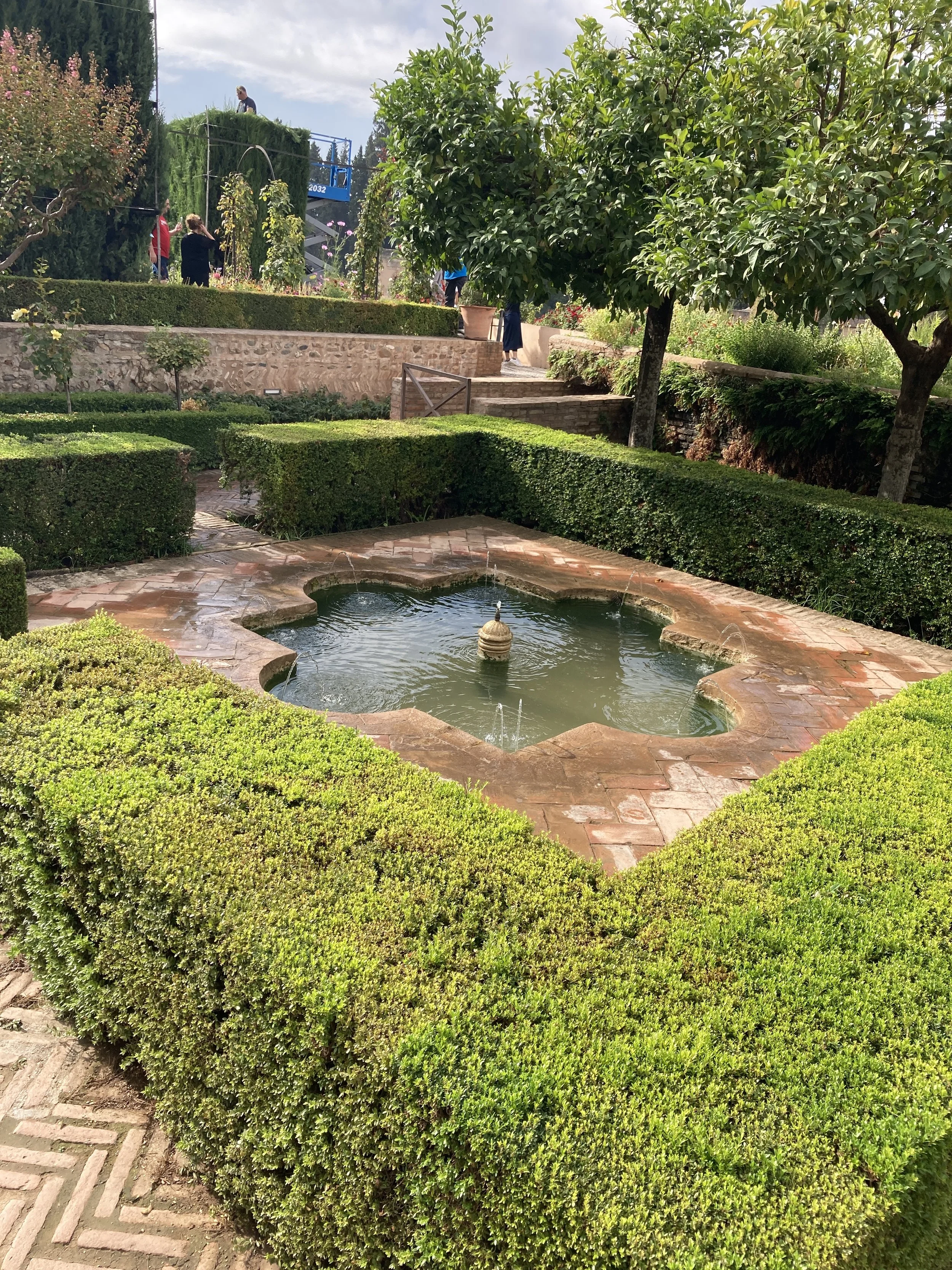 Beyond the hosepipe ban: Designing gardens for a drier future