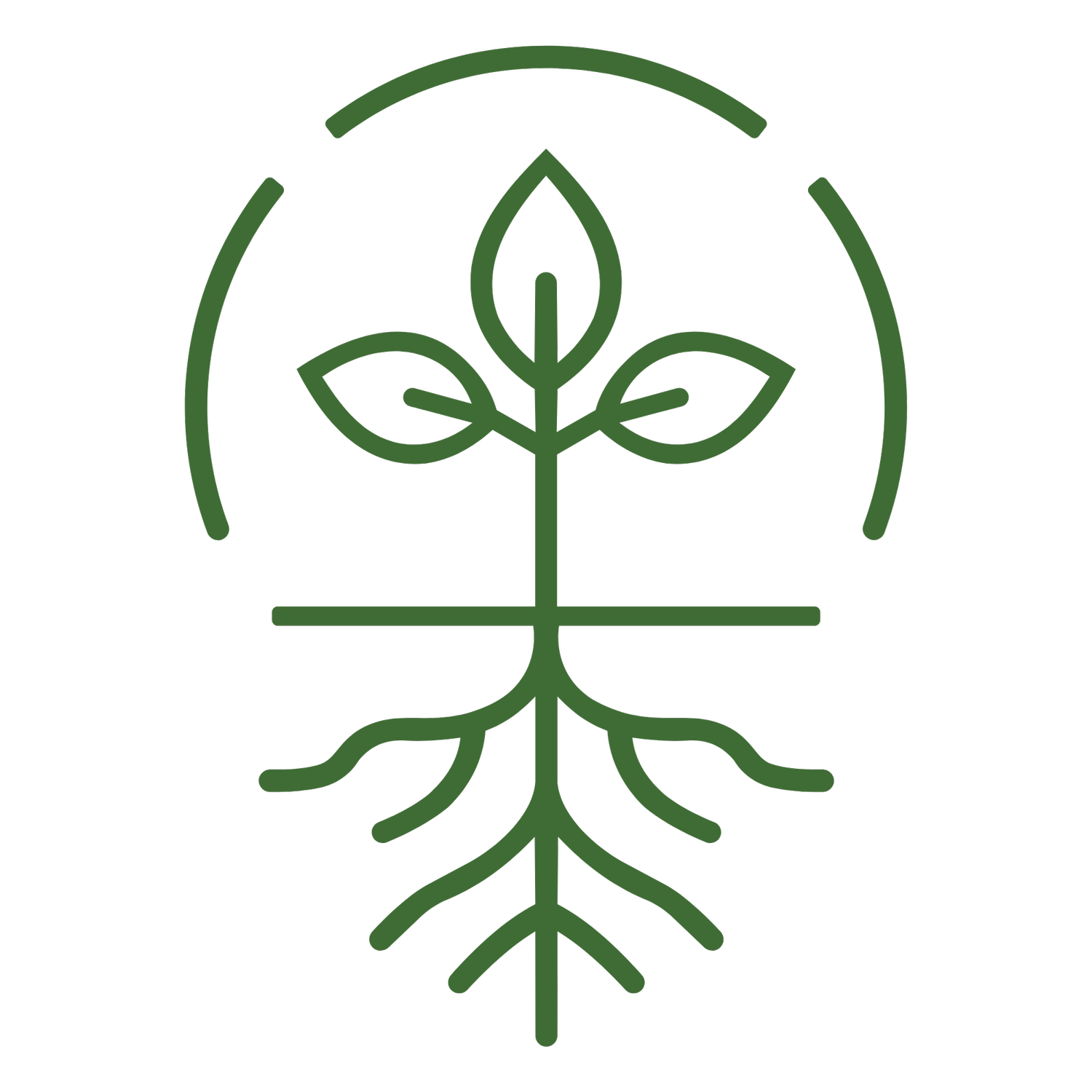 The Seed Community Church