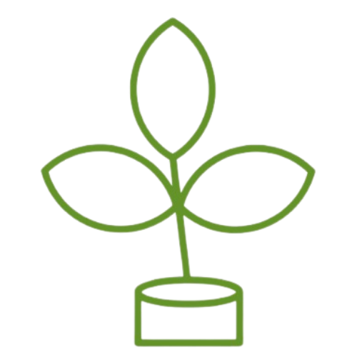 The Seed Community Church