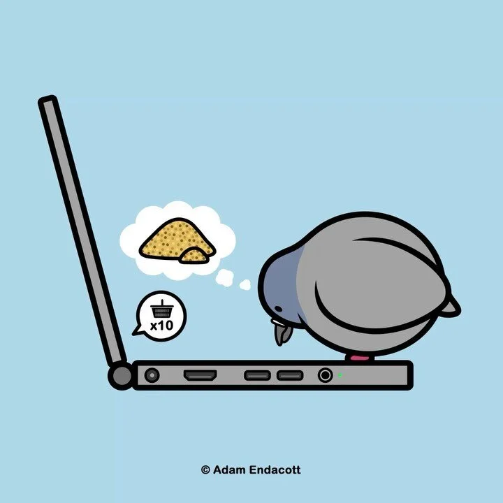 With online shopping, losing weight has become even harder! 🐦

Trying my hand at some simple animated gifs for Smidgeon to help add character!

Also Smidgeon now has his very own Instagram account! @smidgeonthepigeon 

I&rsquo;ll still be posting he