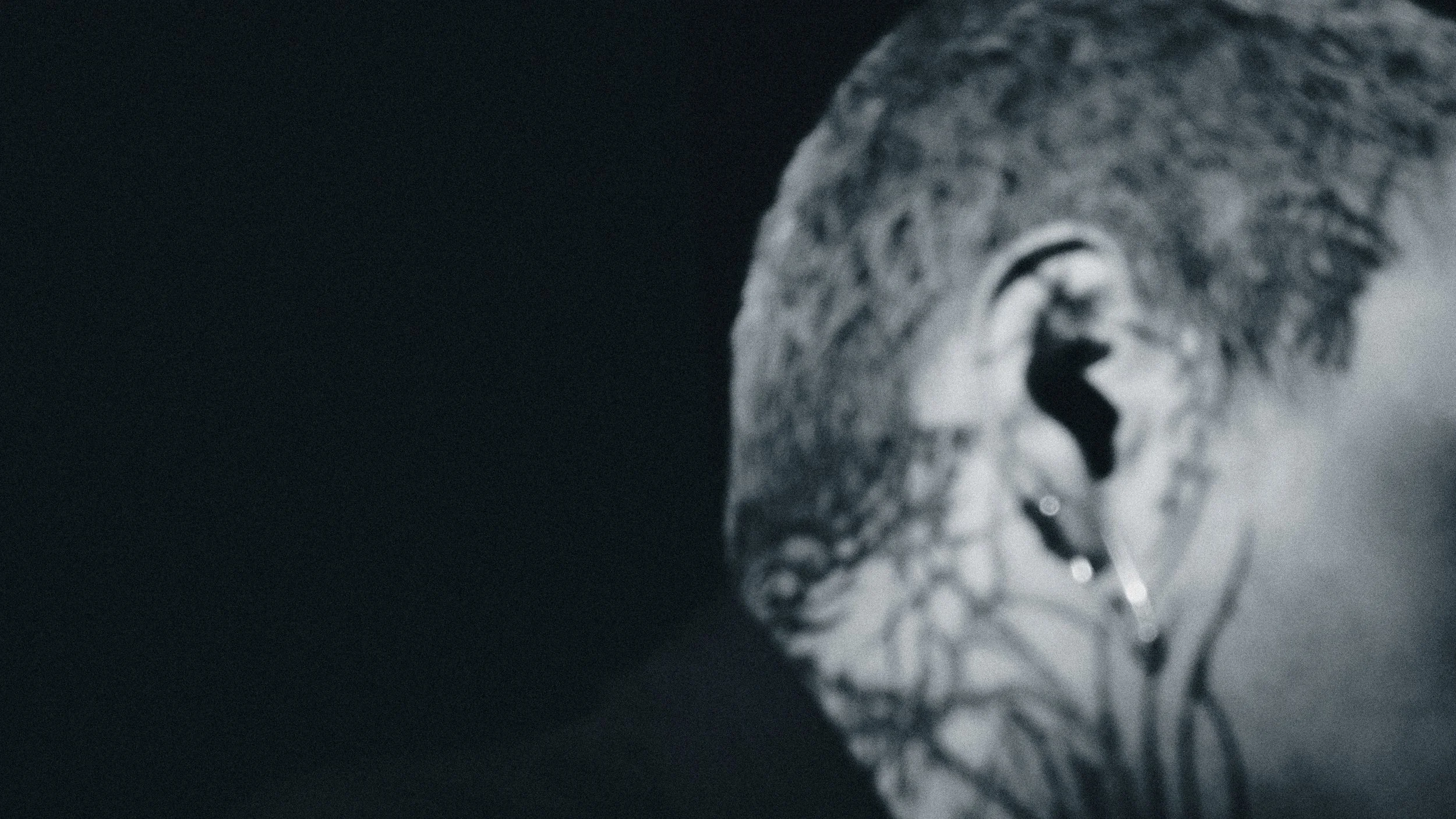 fluorescentfuneral-216.jpg