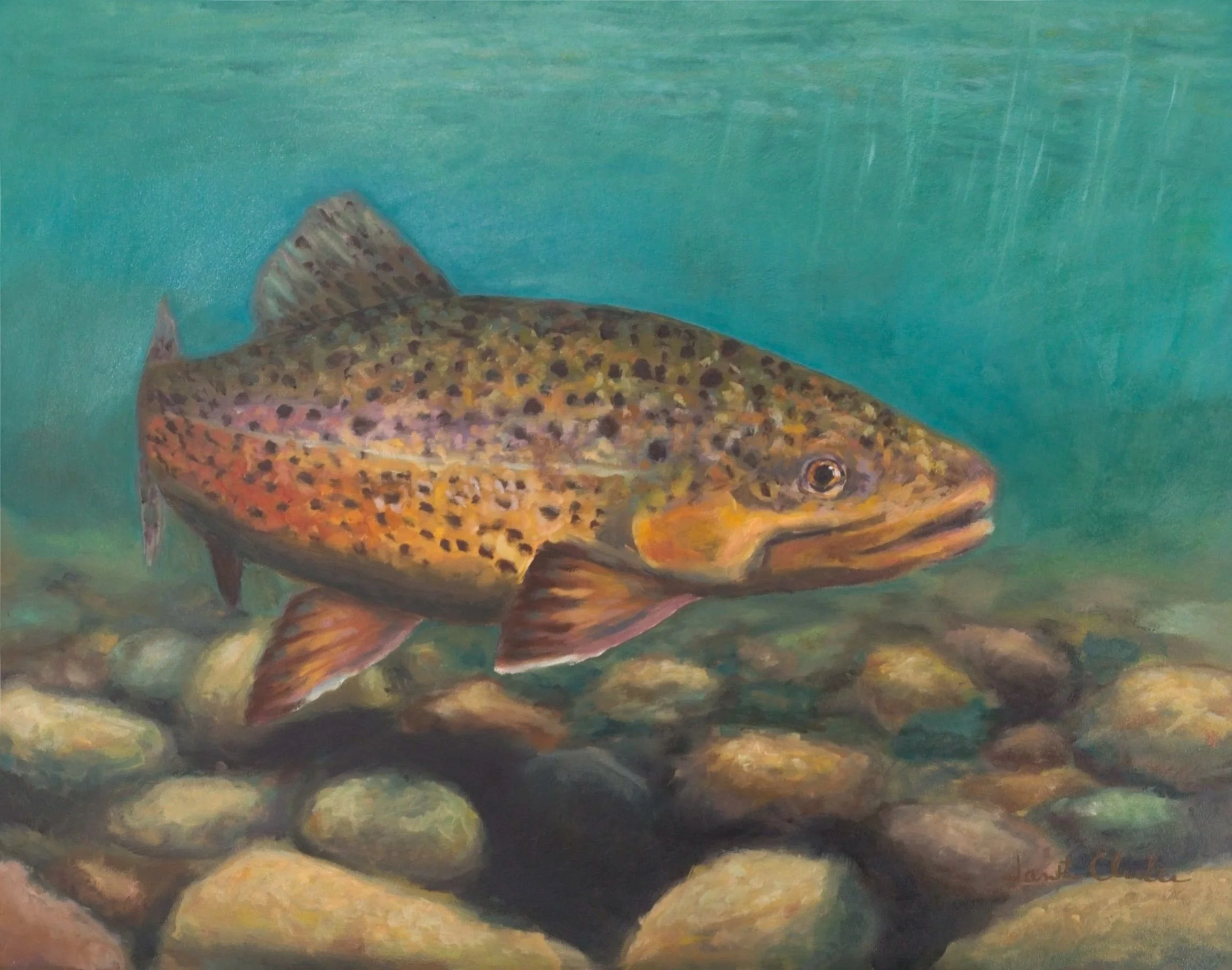 SOLD - Trout 11"x14 on panel