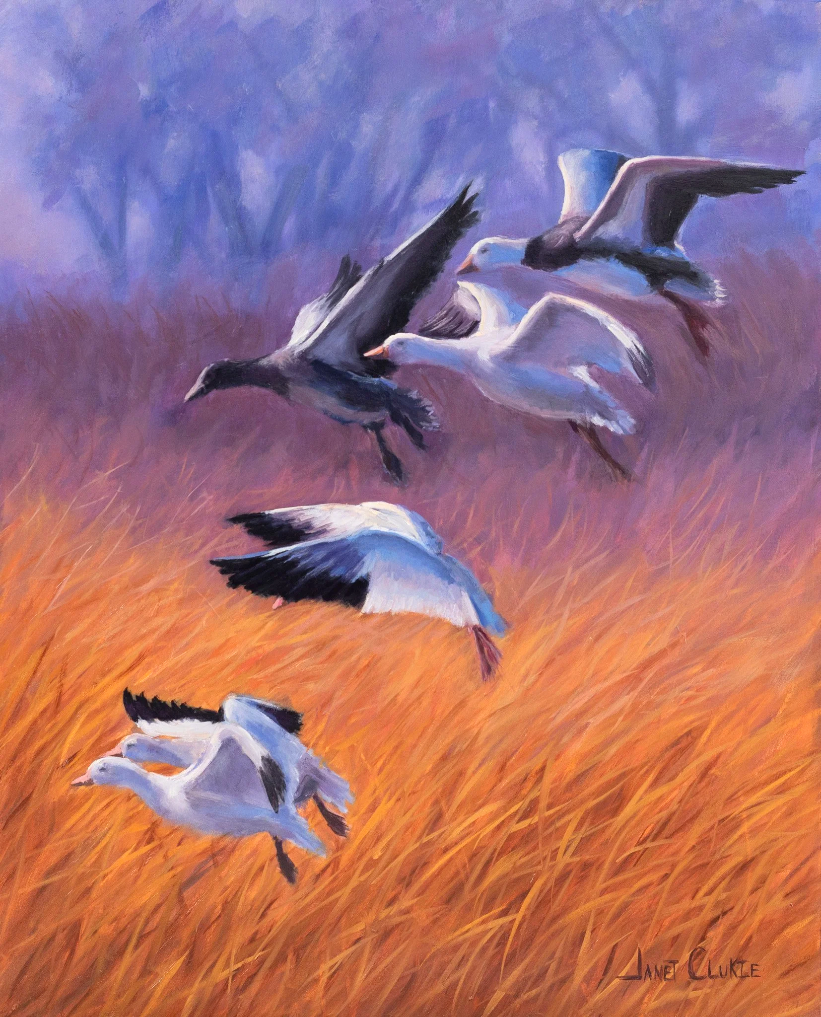 "Taking Flight" oil 16x"20 - Available at SEWE 2026