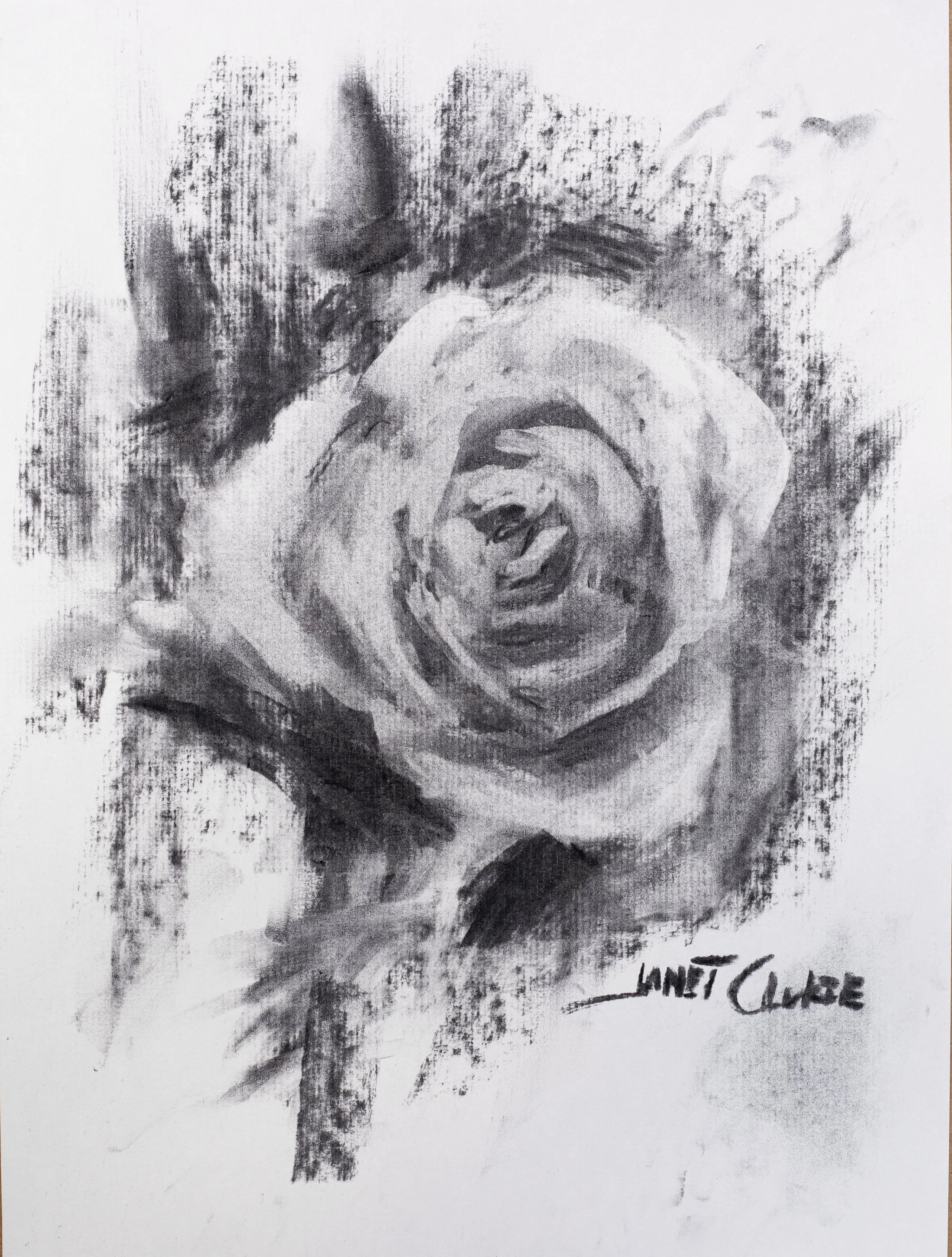 Rose_janetclukie2.jpg
