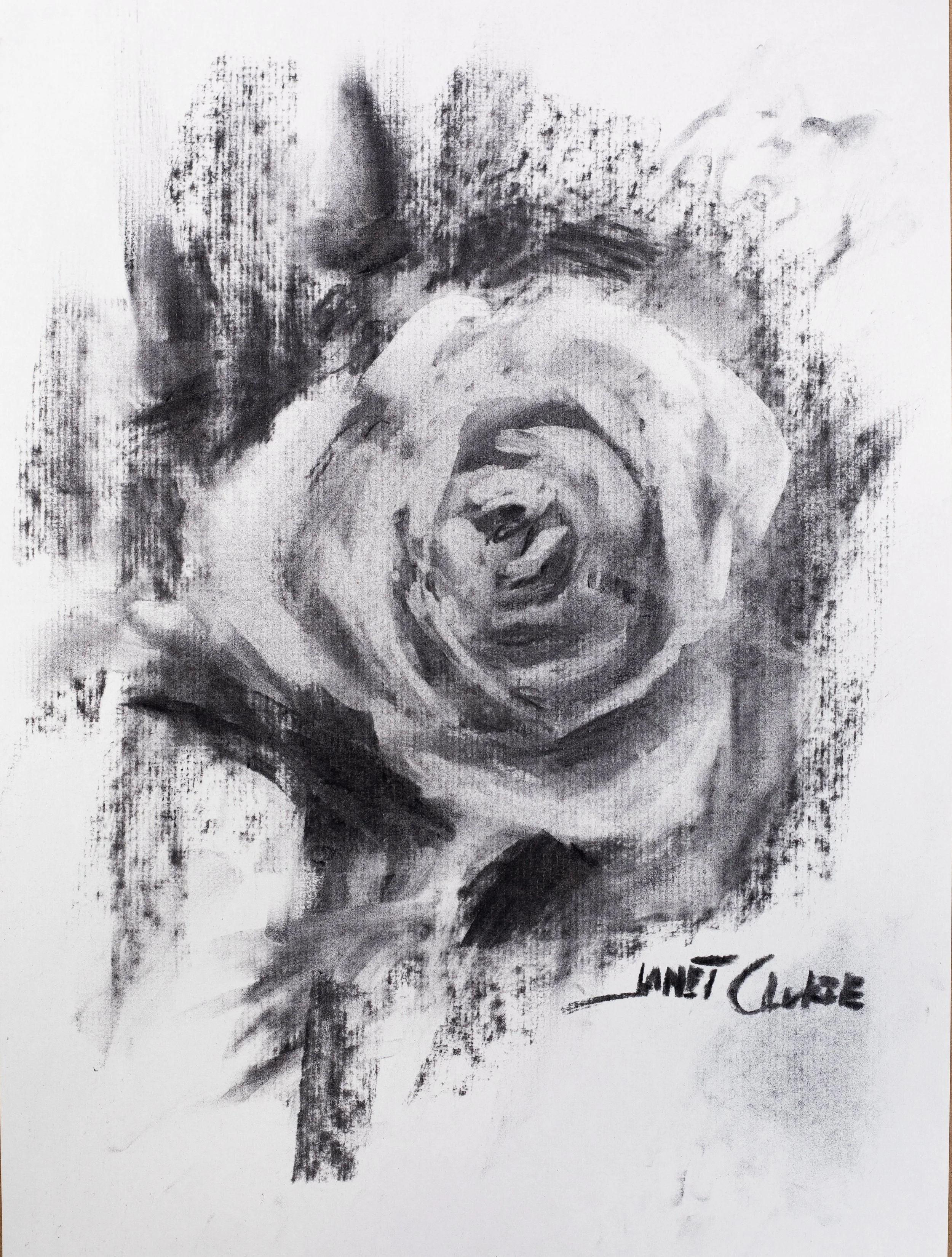 Rose_janetClukie1.jpg