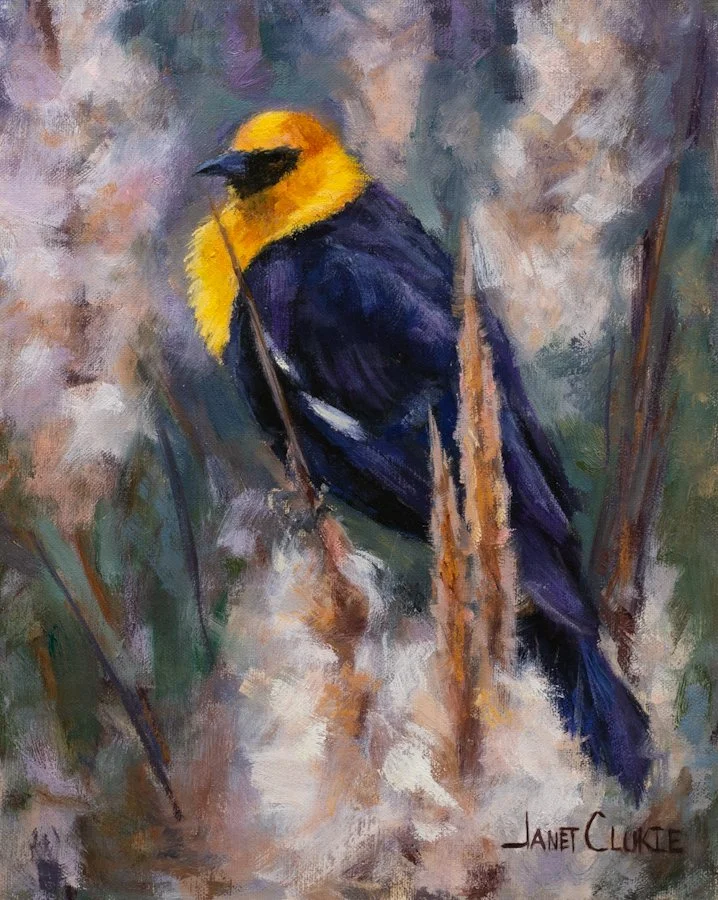"Fearlessly Bold" oil 8"x10"- now available at SEWE online gallery