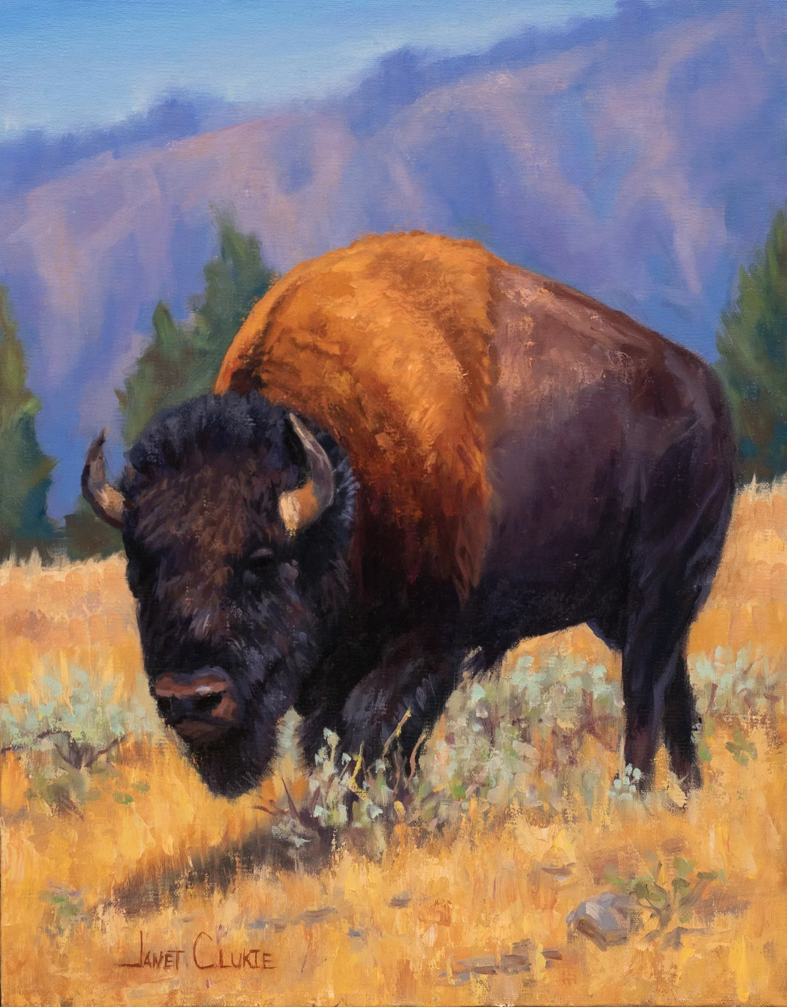 "Mighty" features a Bison taking large strides through the field and sagebrush.
