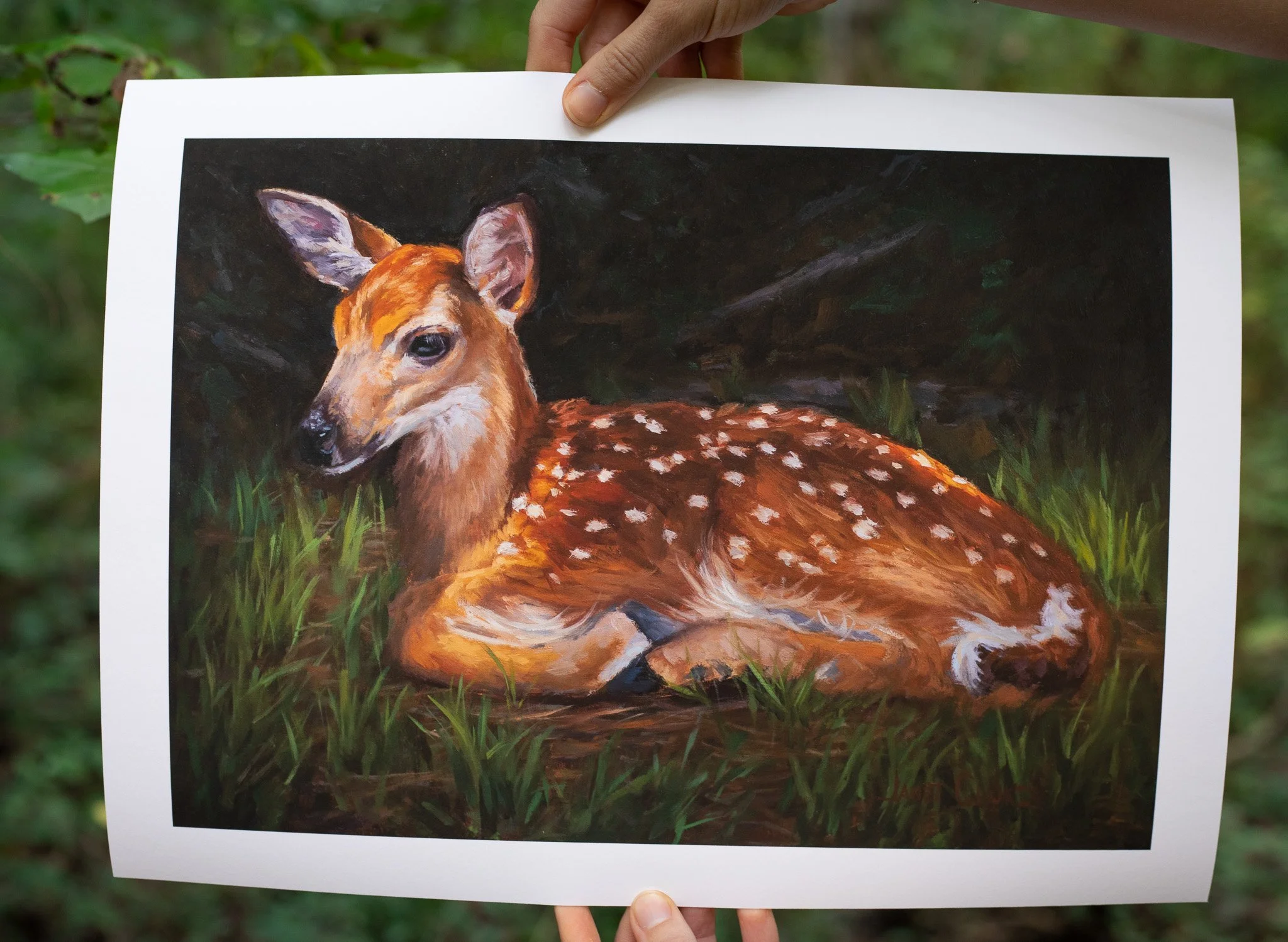 Limited Edition Print - Safely Settled
