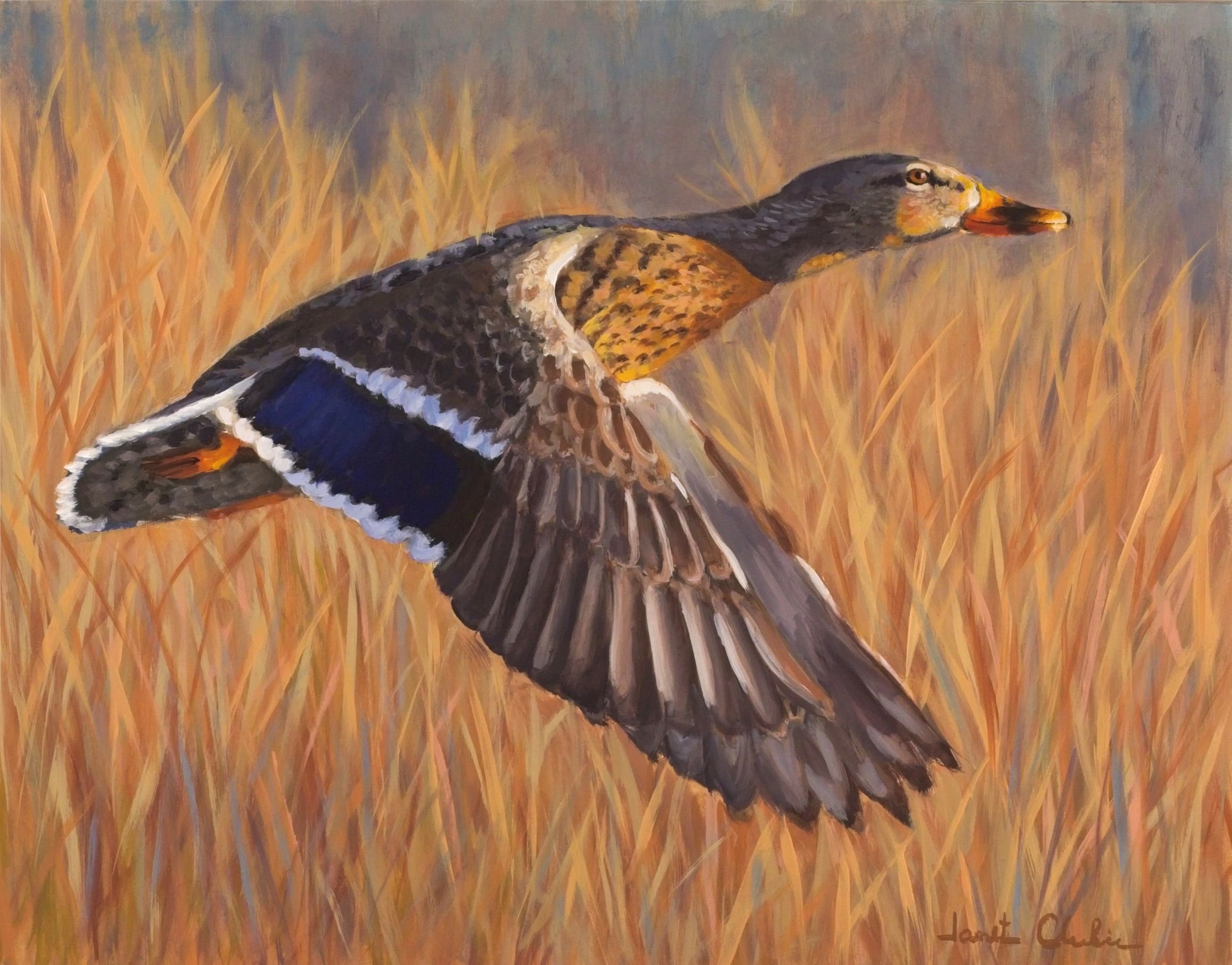 Available - Oil on panel 11"x14"