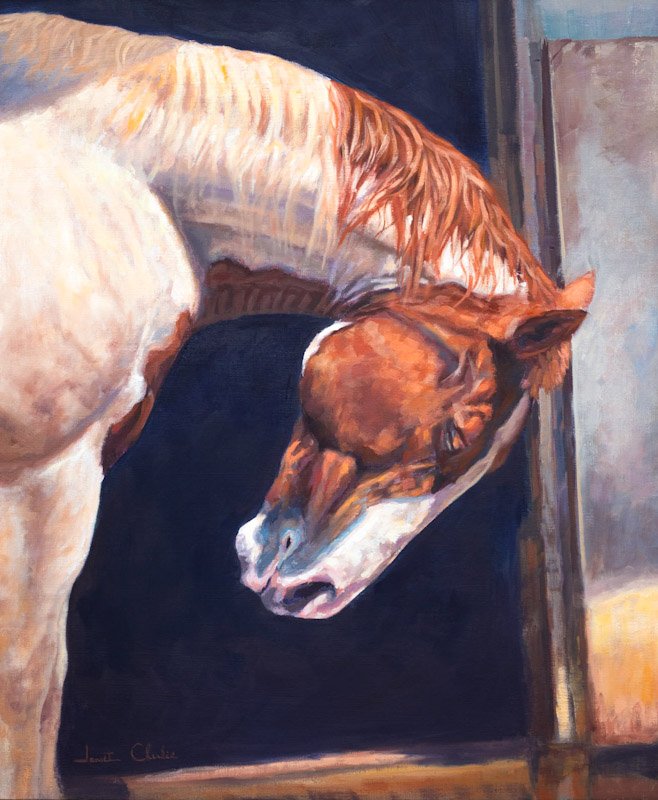 "Peace and Pain" 20"x24" oil on canvas framed - available