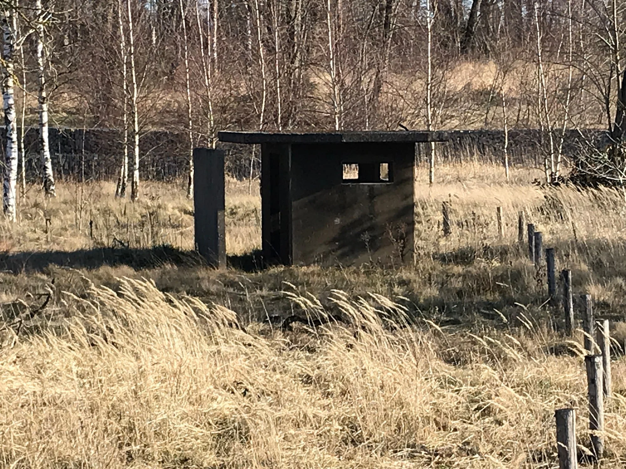 soesterberg1web.jpg