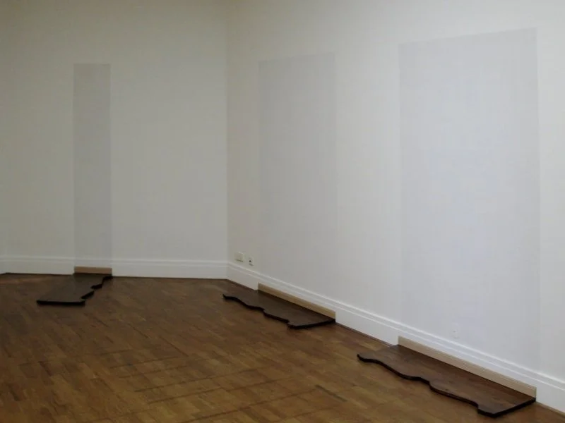 Museum Arnhem, Biënnale Gelderland, 2009, curated by Andrée van de Kerckhove.