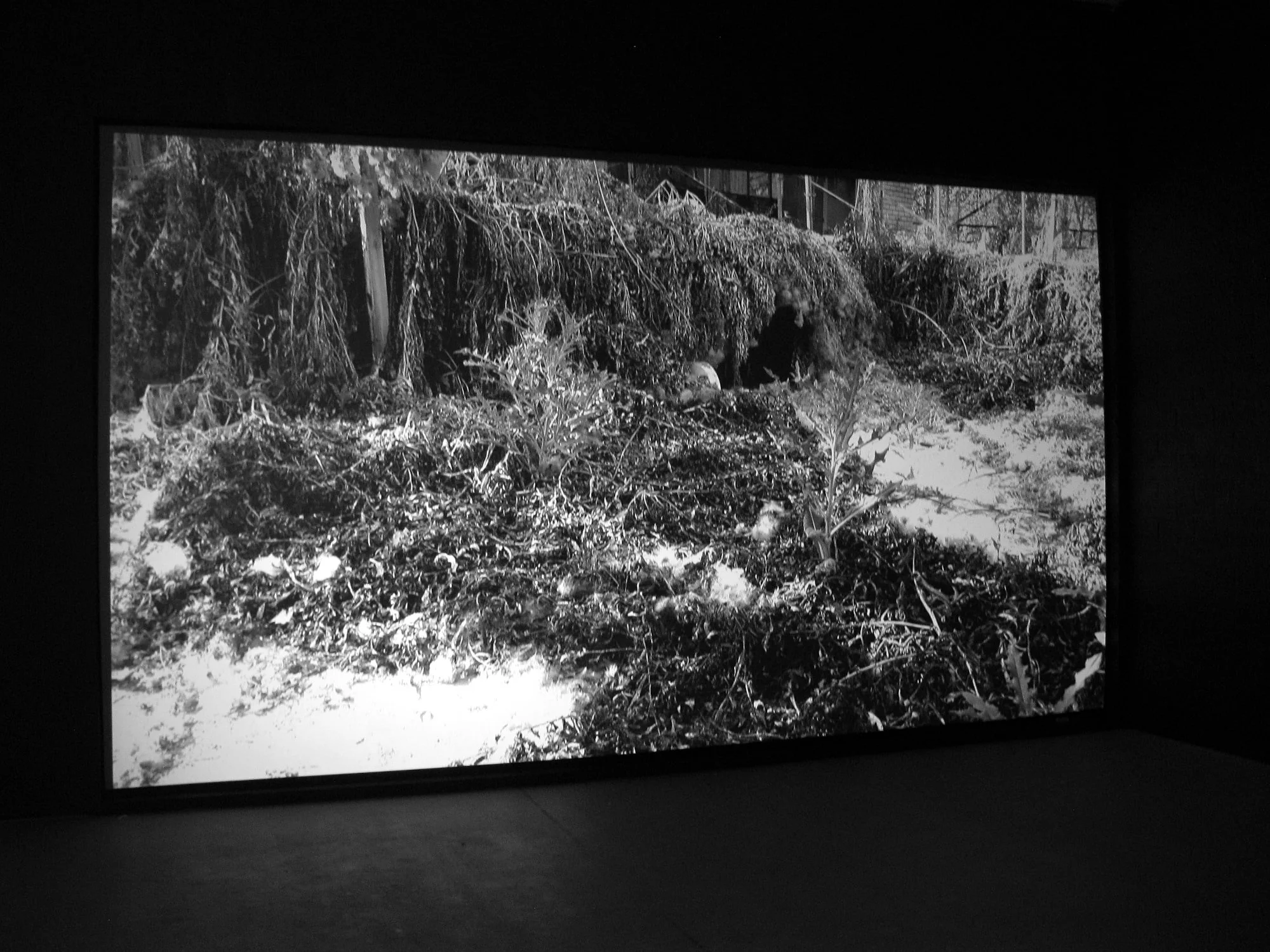 Mapping the landscape, Museum Van Bommel Van Dam, Venlo, 2012