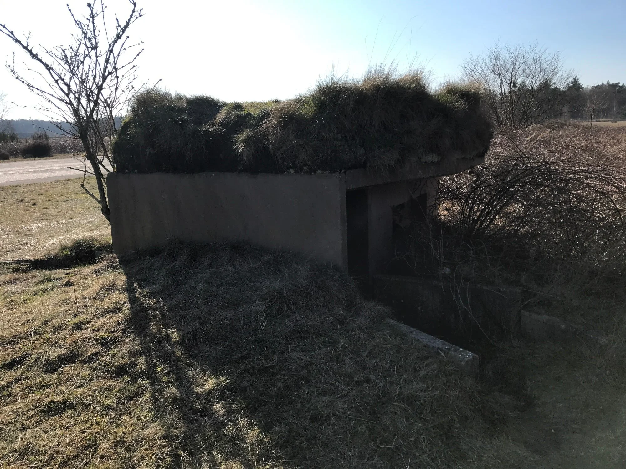 soesterberg7web.jpg