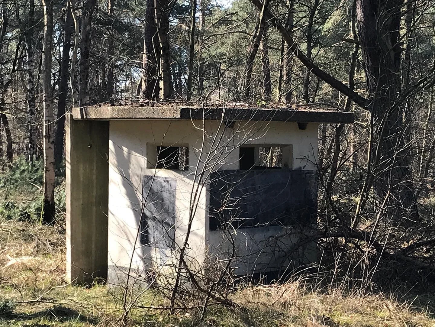 soesterberg6web.jpg