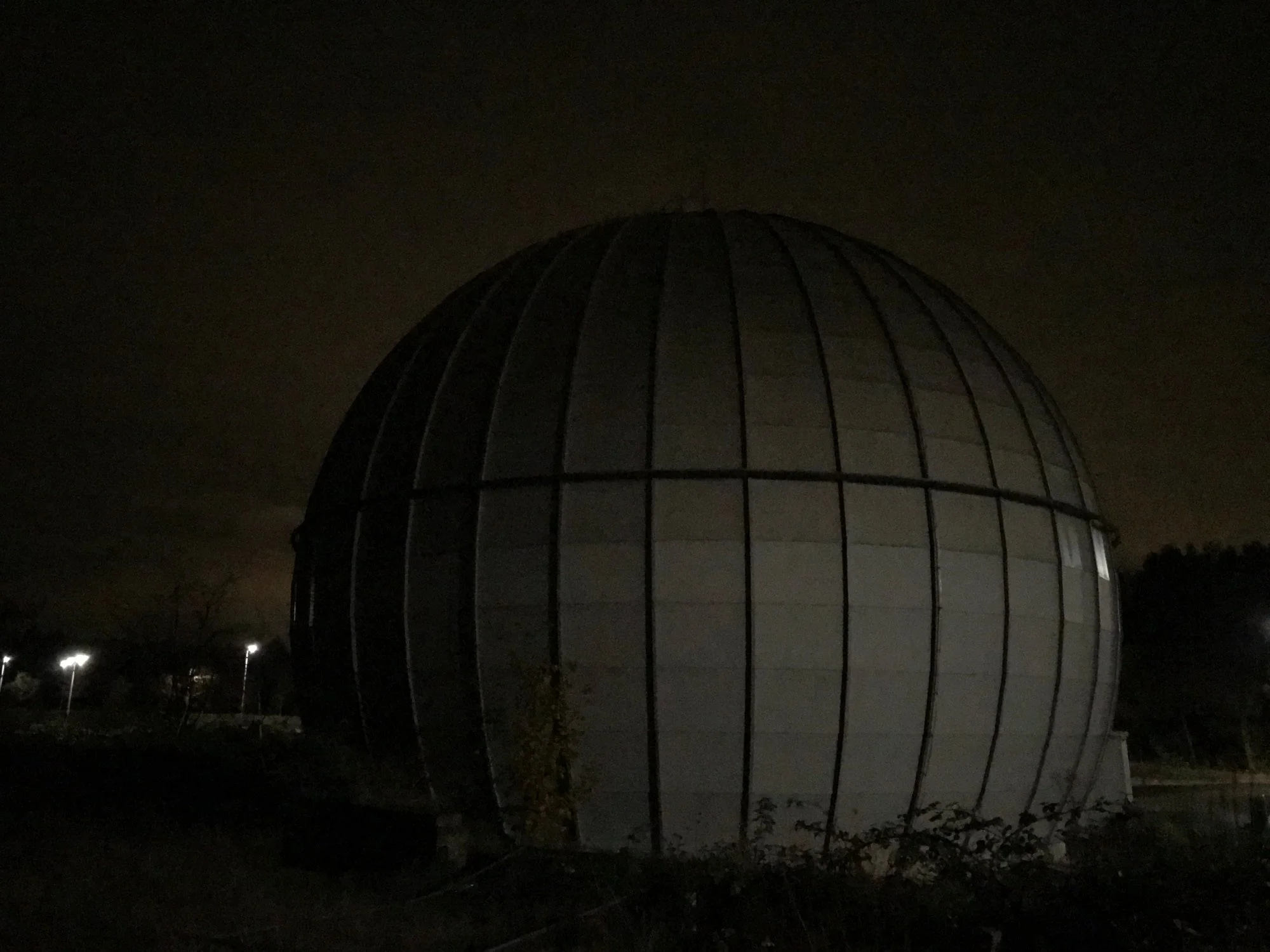 stingerbol8web.jpg