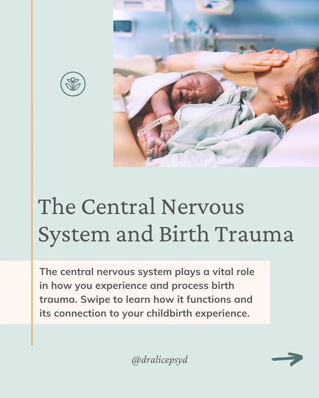🚨 The central nervous system plays a vital role in how you experience and process birth trauma.
The Central Nervous System (CNS) is the body's control center, comprising the brain and spinal cord. It regulates bodily functions, including pain perce