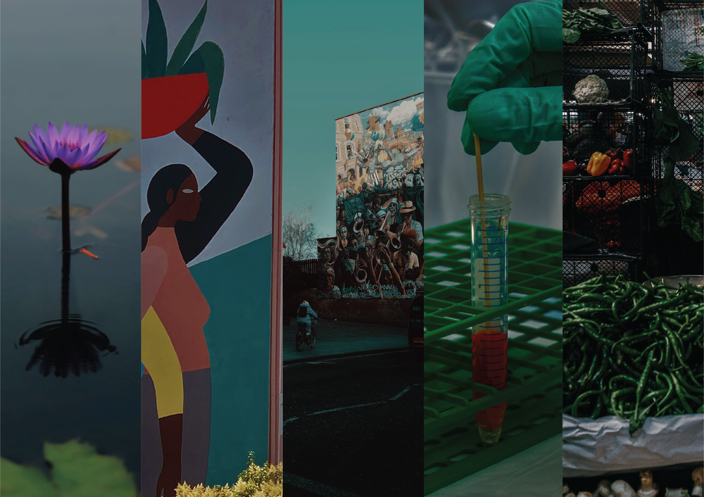 Prime Programs — Prime Coalition