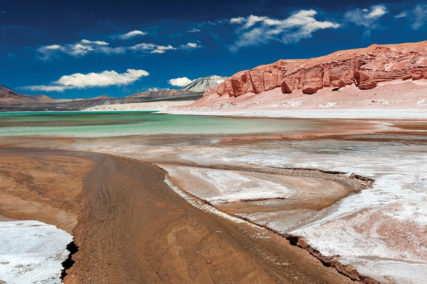 Creative Philanthropy for Climate Change