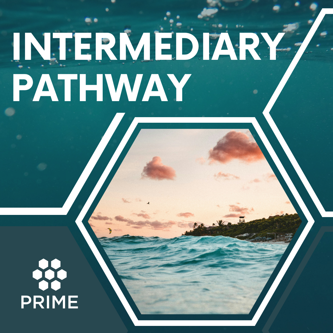 Intermediary Pathway
