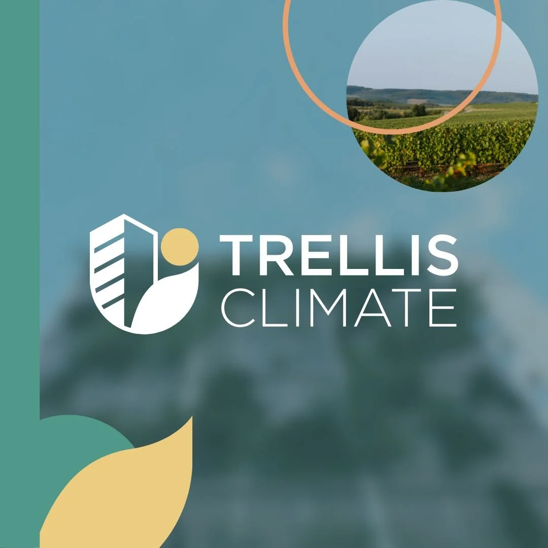 EQT Foundation Grants €500,000 to Trellis Climate