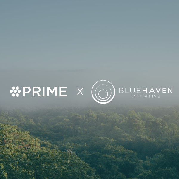 More Than Capital: Prime Coalition’s Partnership with Blue Haven Initiative