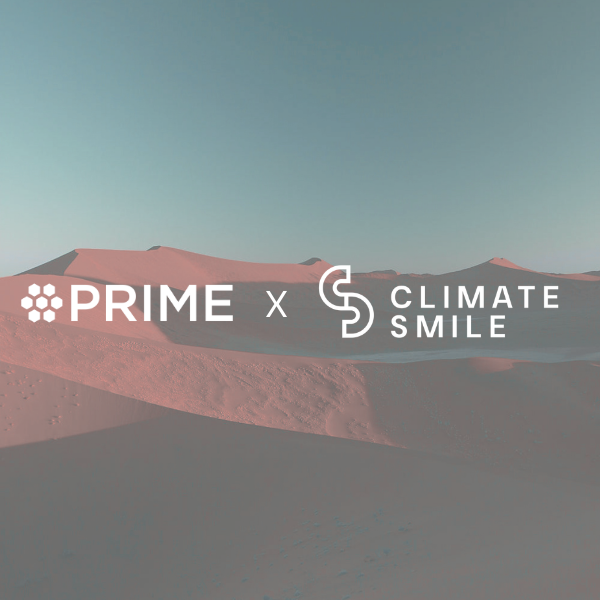 Climate Impact Investing Impact Measurement and Management (IMM) Playbook