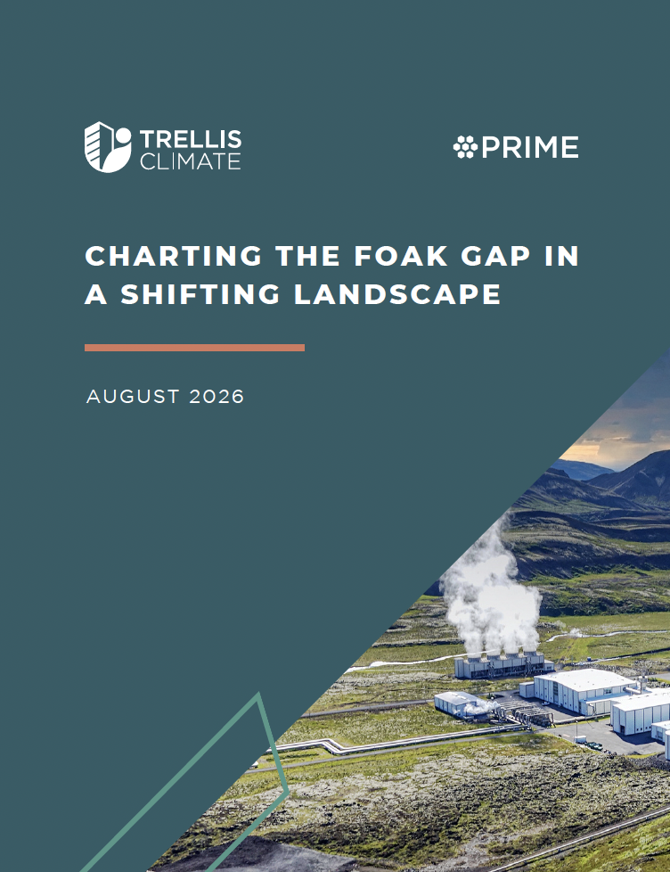 Image that reads: "Charting the FOAK Gap in a Shifting Landscape"