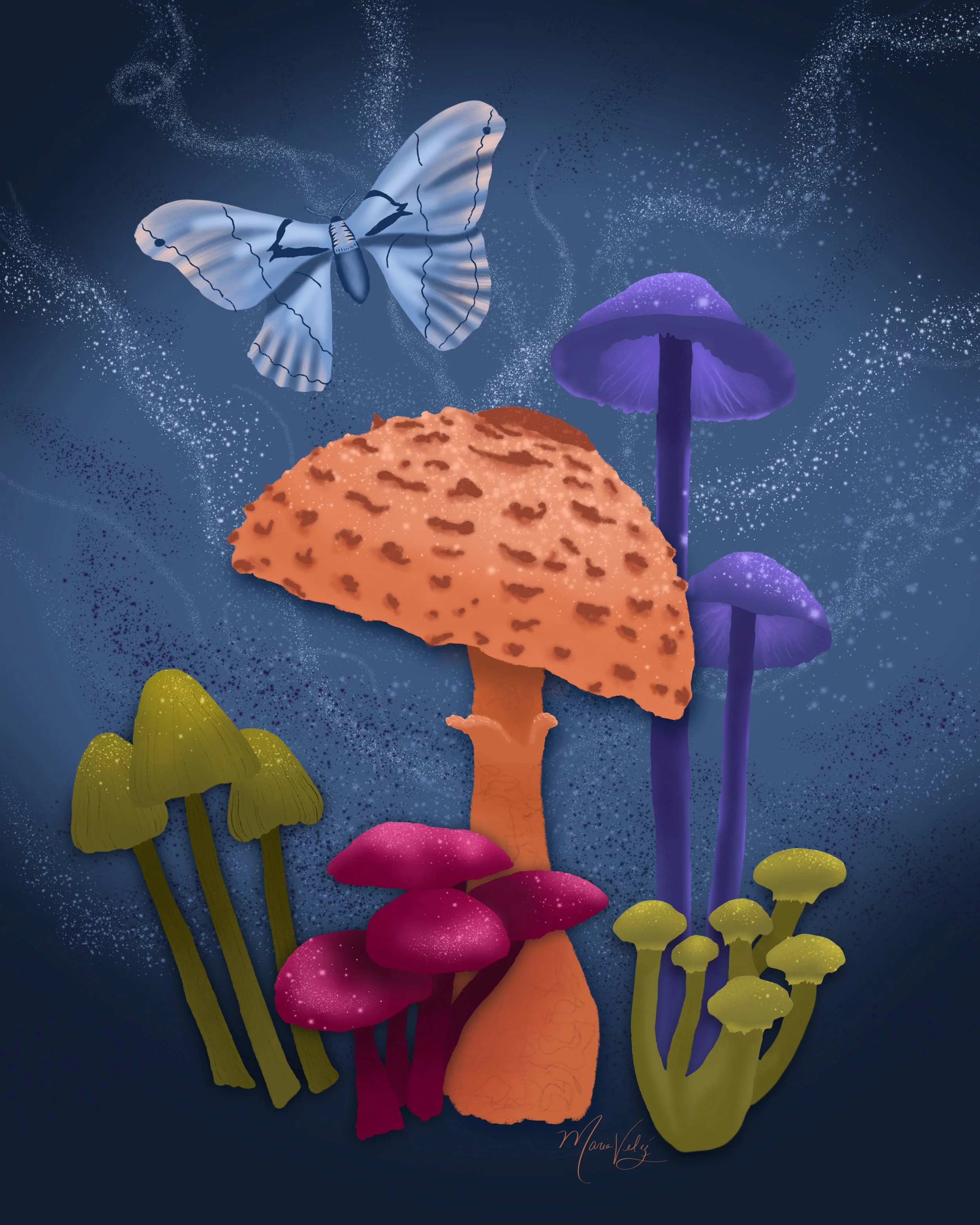 Magical Mushrooms 2022