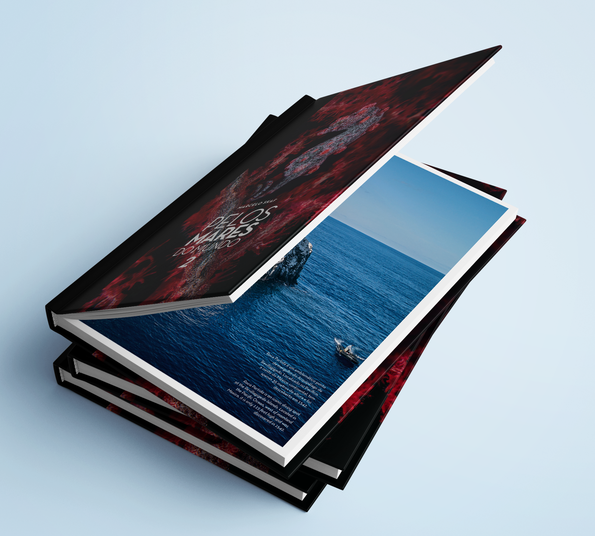 Book_Mockup_05.png