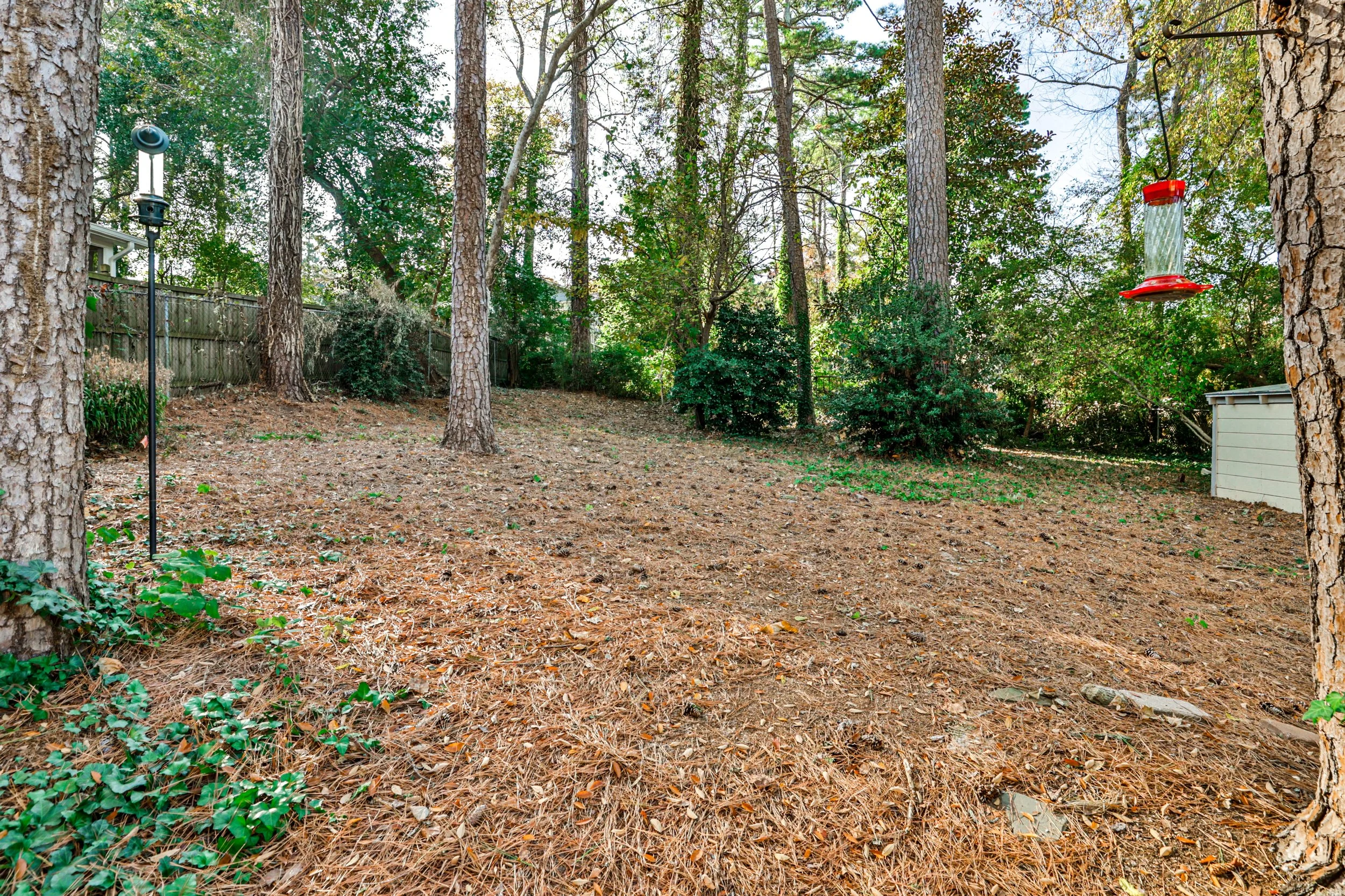 1015 candler full-4.jpg
