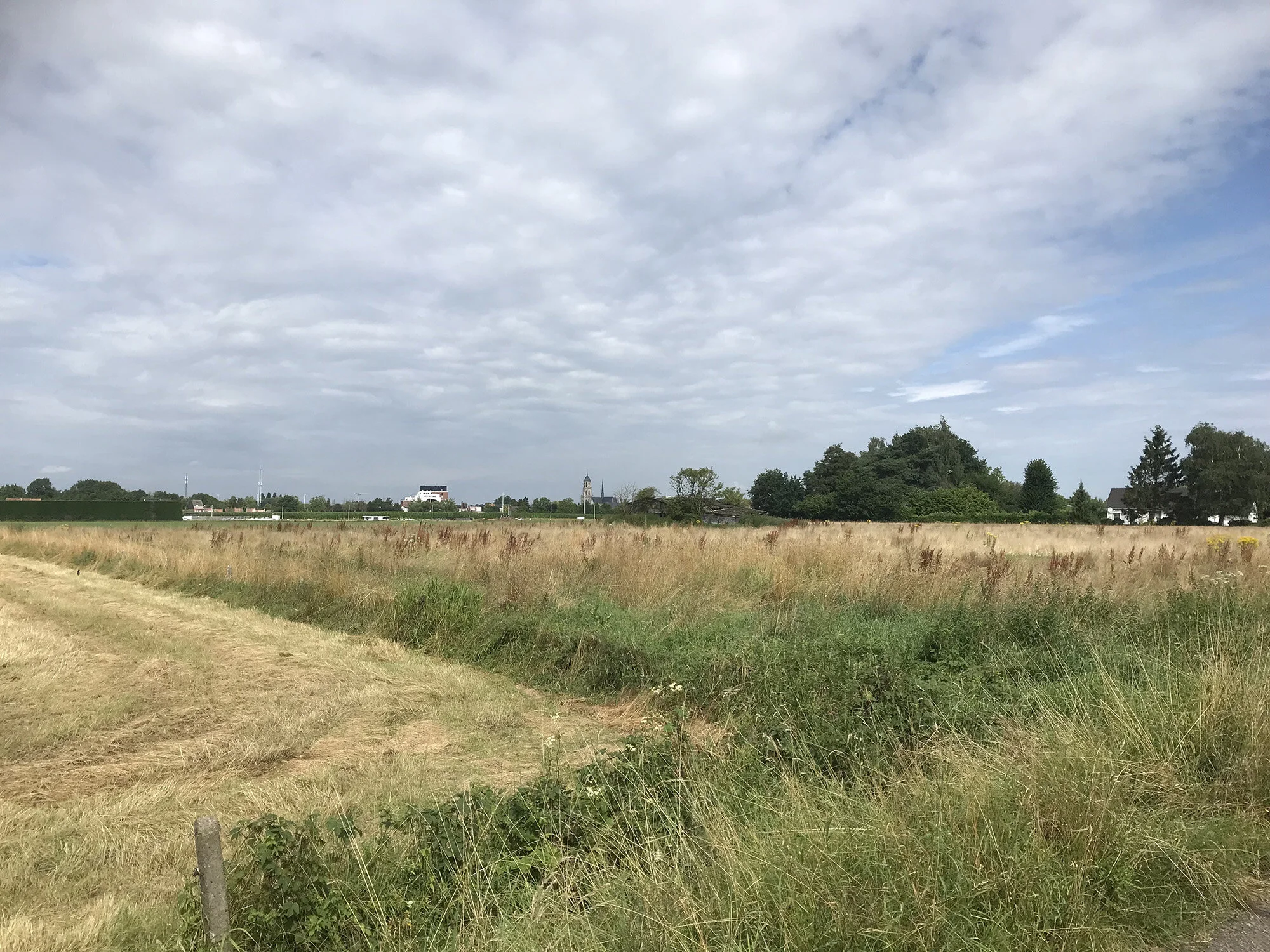 Figuur 12 Zicht op de stad Lier vanuit Mijl (de straat in de Myle)